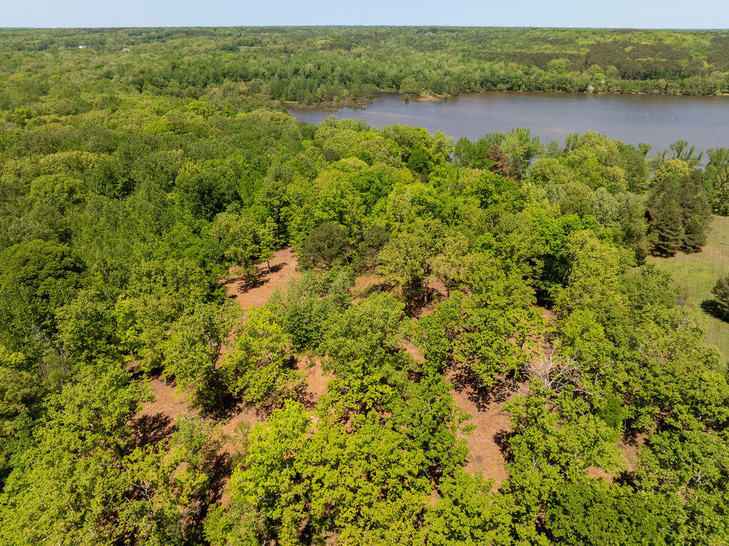 1 Sauger Lane Property Photo 17