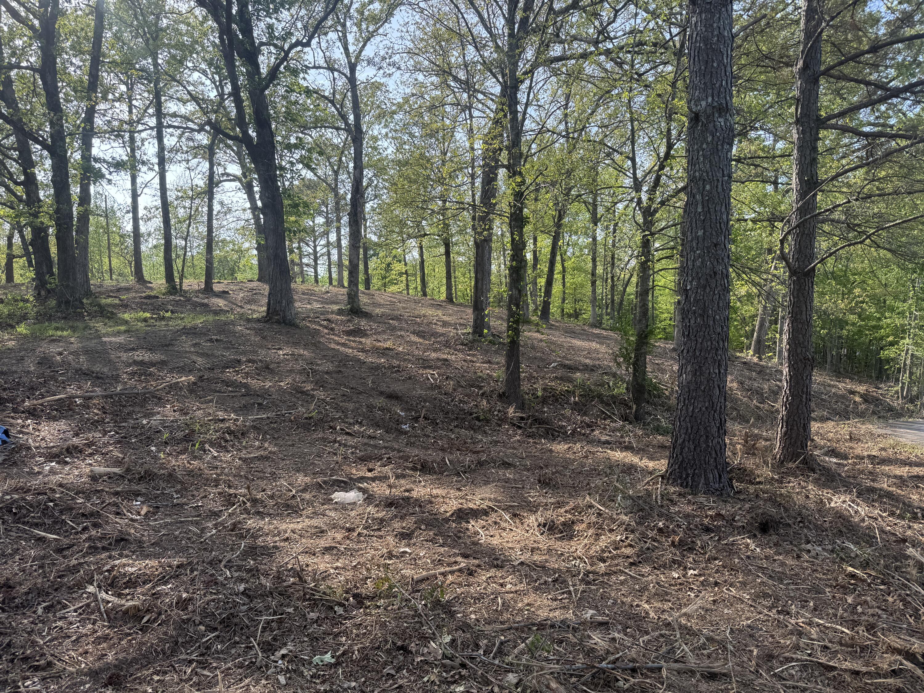 1 Sauger Lane Property Photo 18