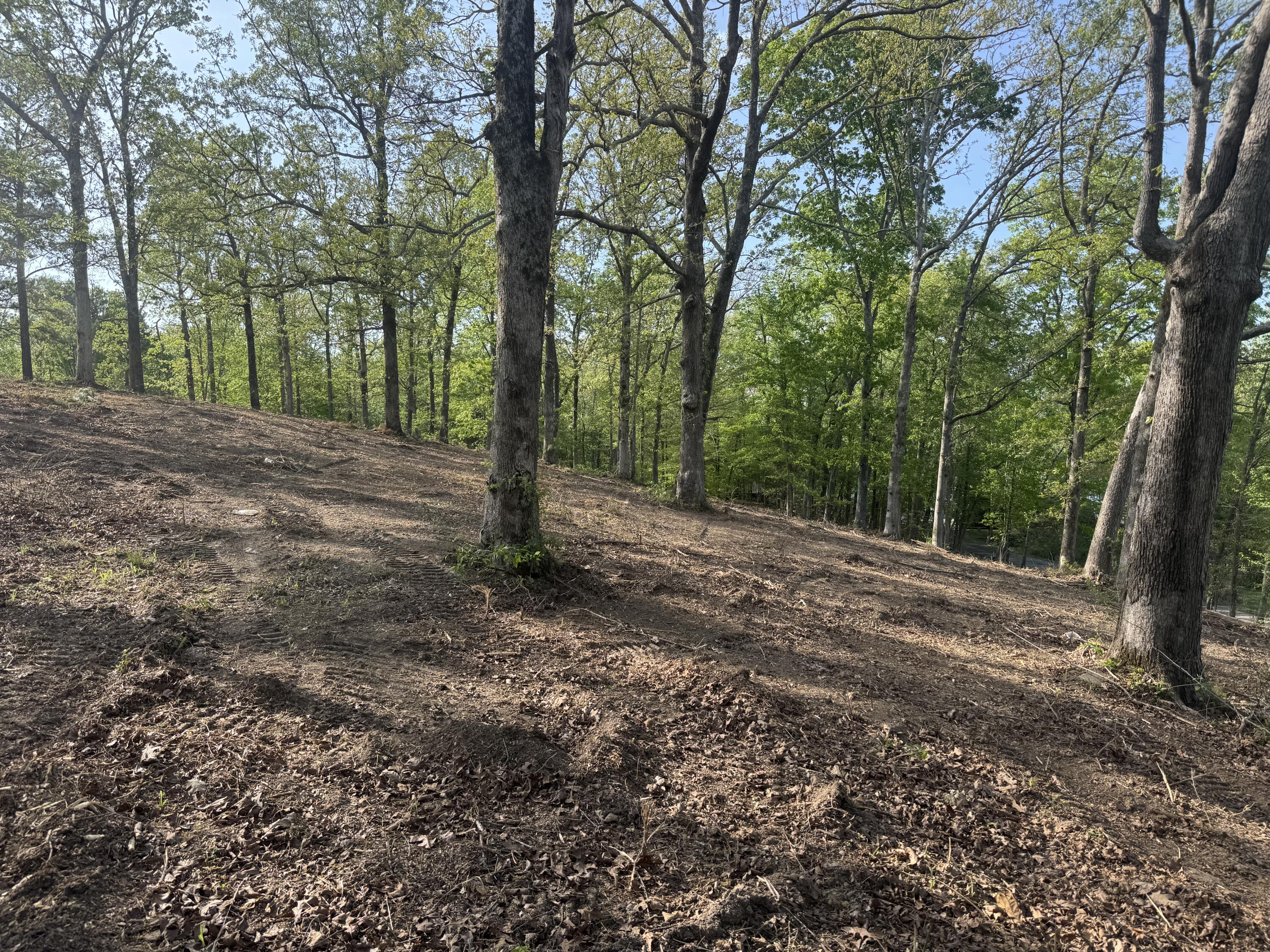 1 Sauger Lane Property Photo 19