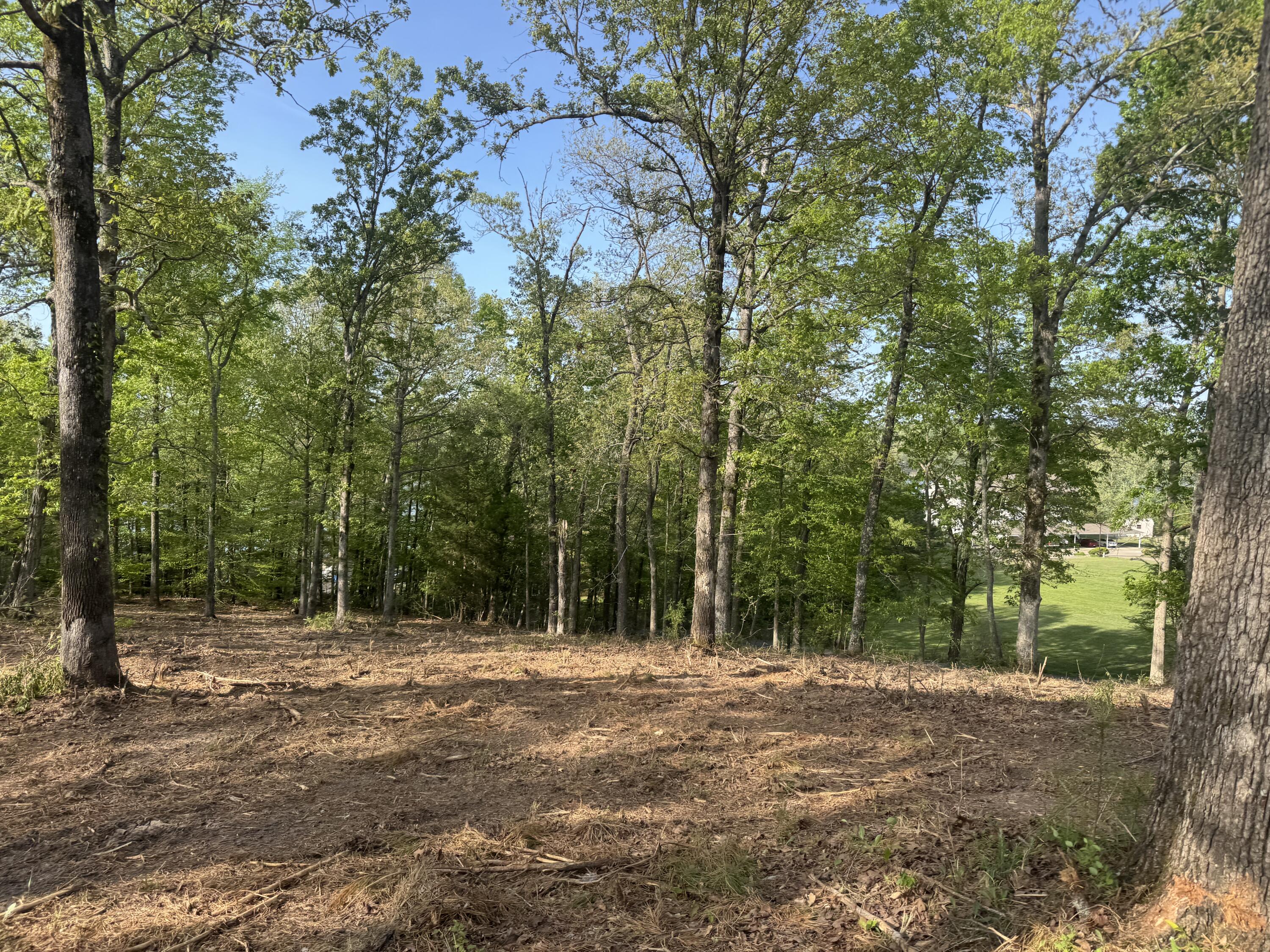 1 Sauger Lane Property Photo 20