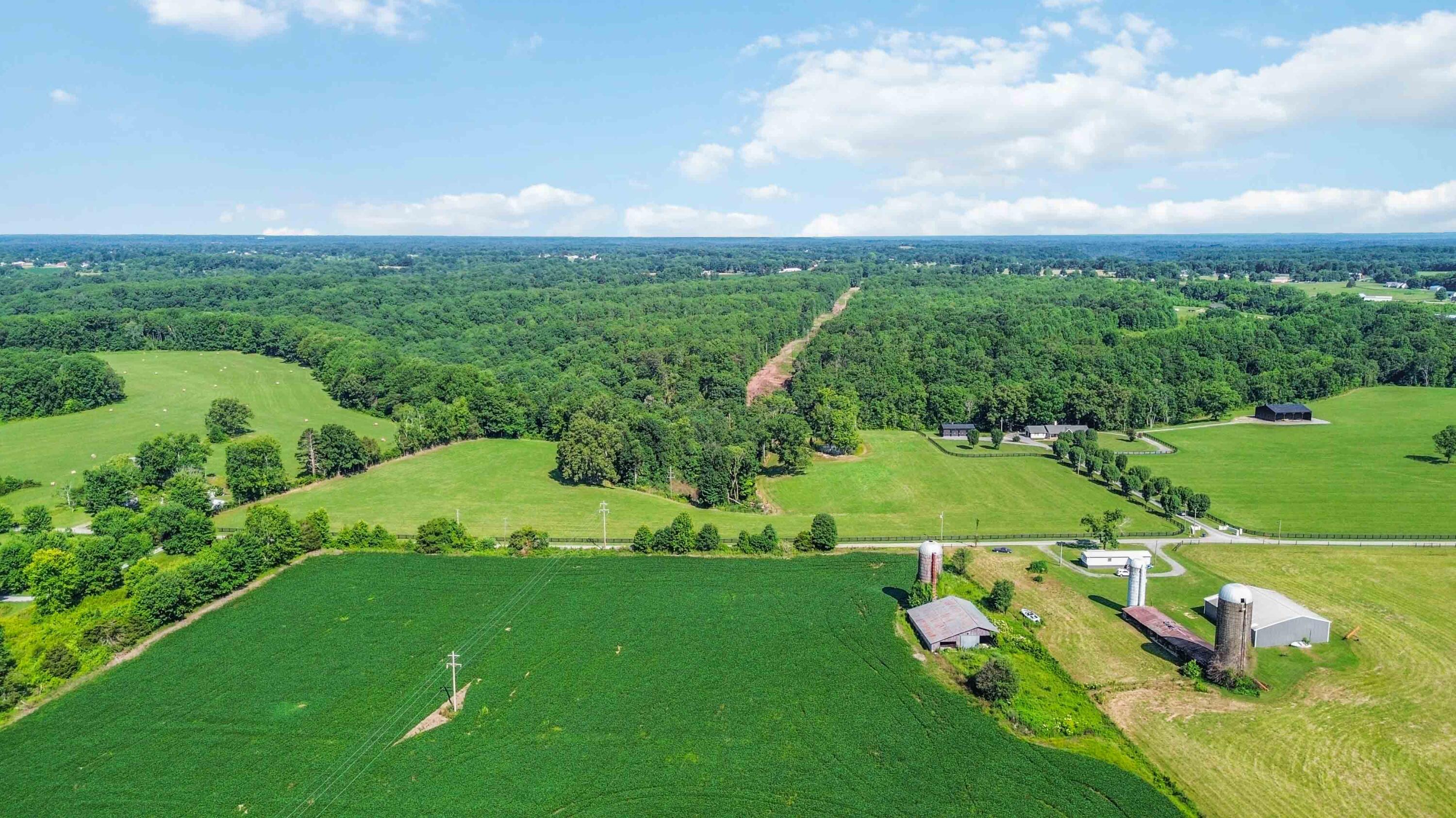 12d Acres Flatwoods Road Property Photo 5