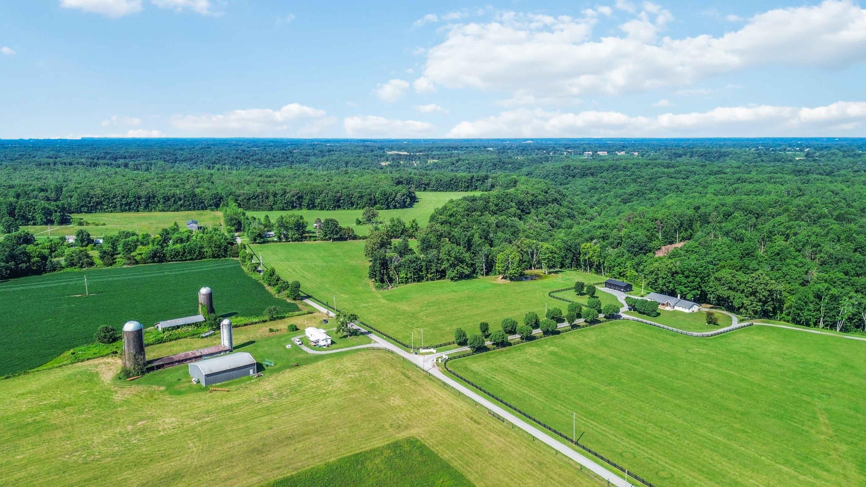 12d Acres Flatwoods Road Property Photo 6