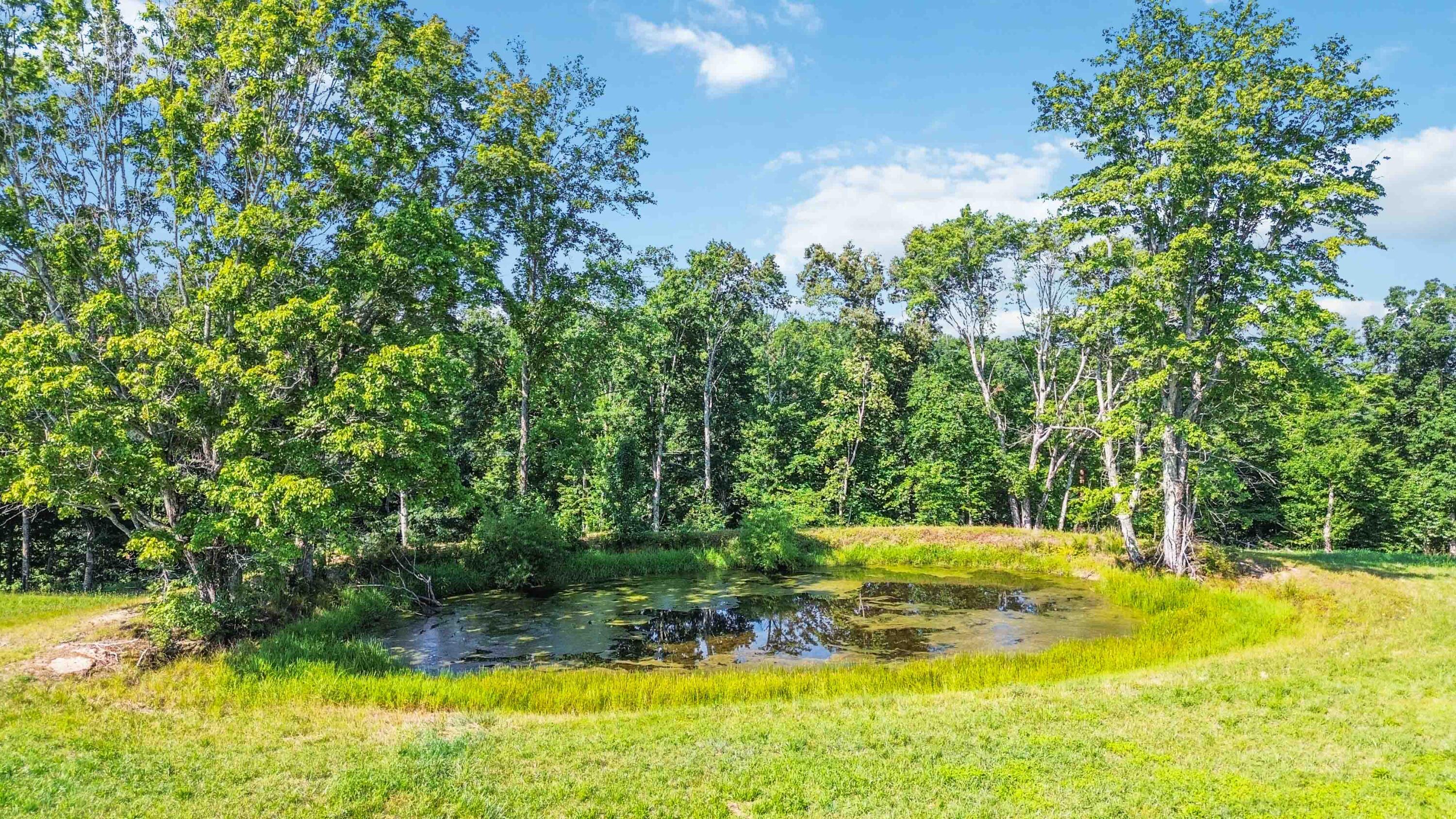 12d Acres Flatwoods Road Property Photo 7