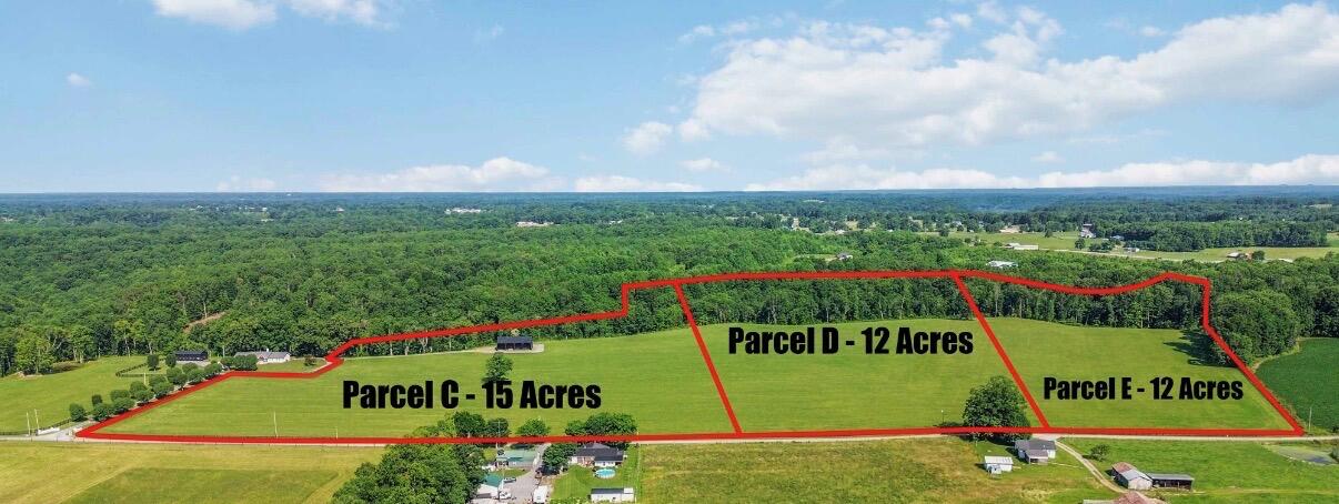 12e Acres Flatwoods Road Property Photo 3
