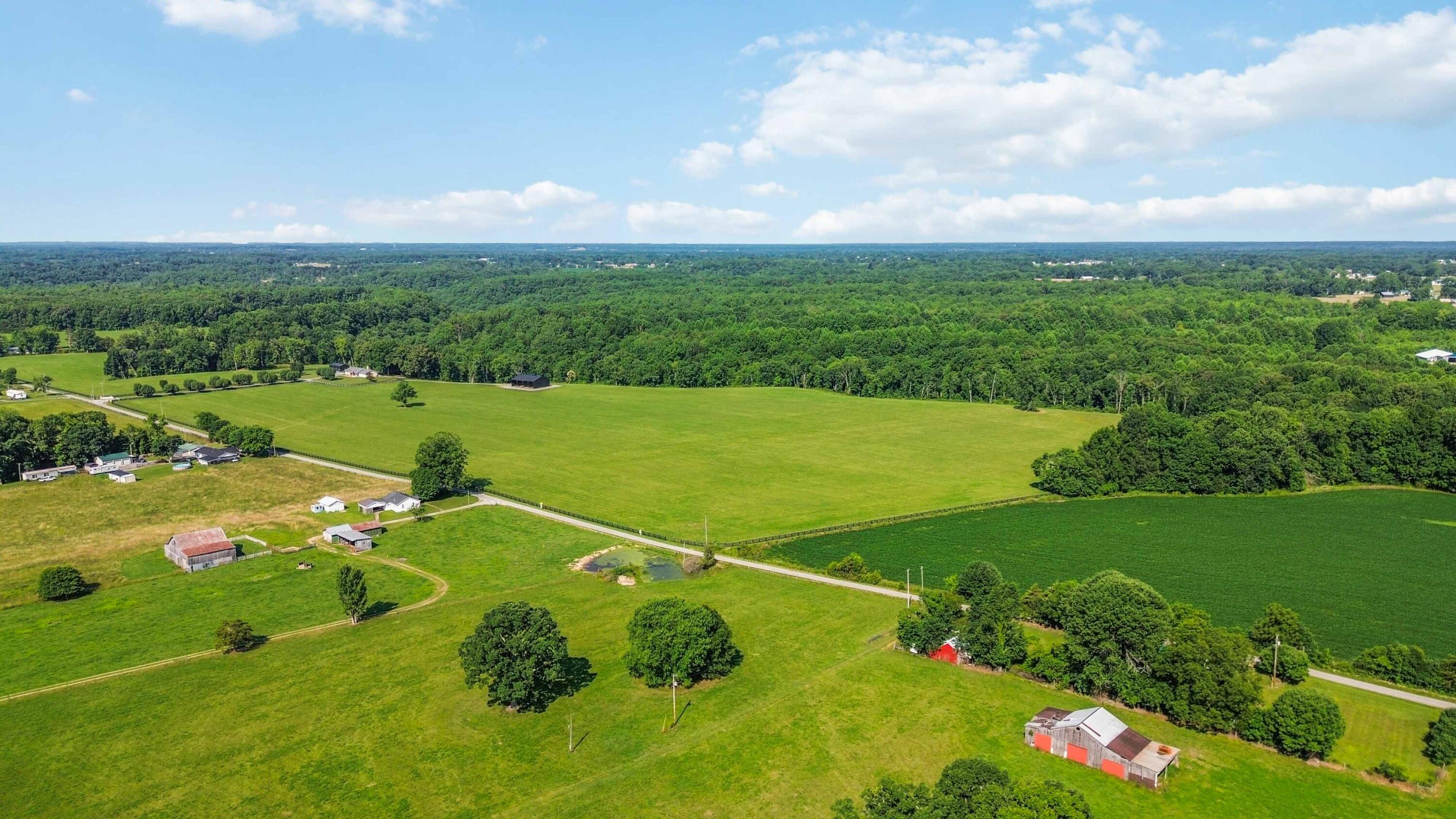 12e Acres Flatwoods Road Property Photo 5