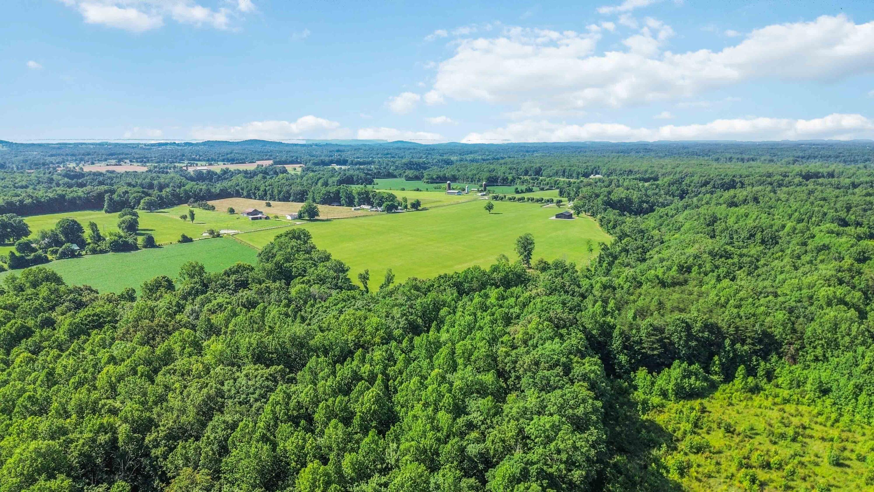 12e Acres Flatwoods Road Property Photo 8