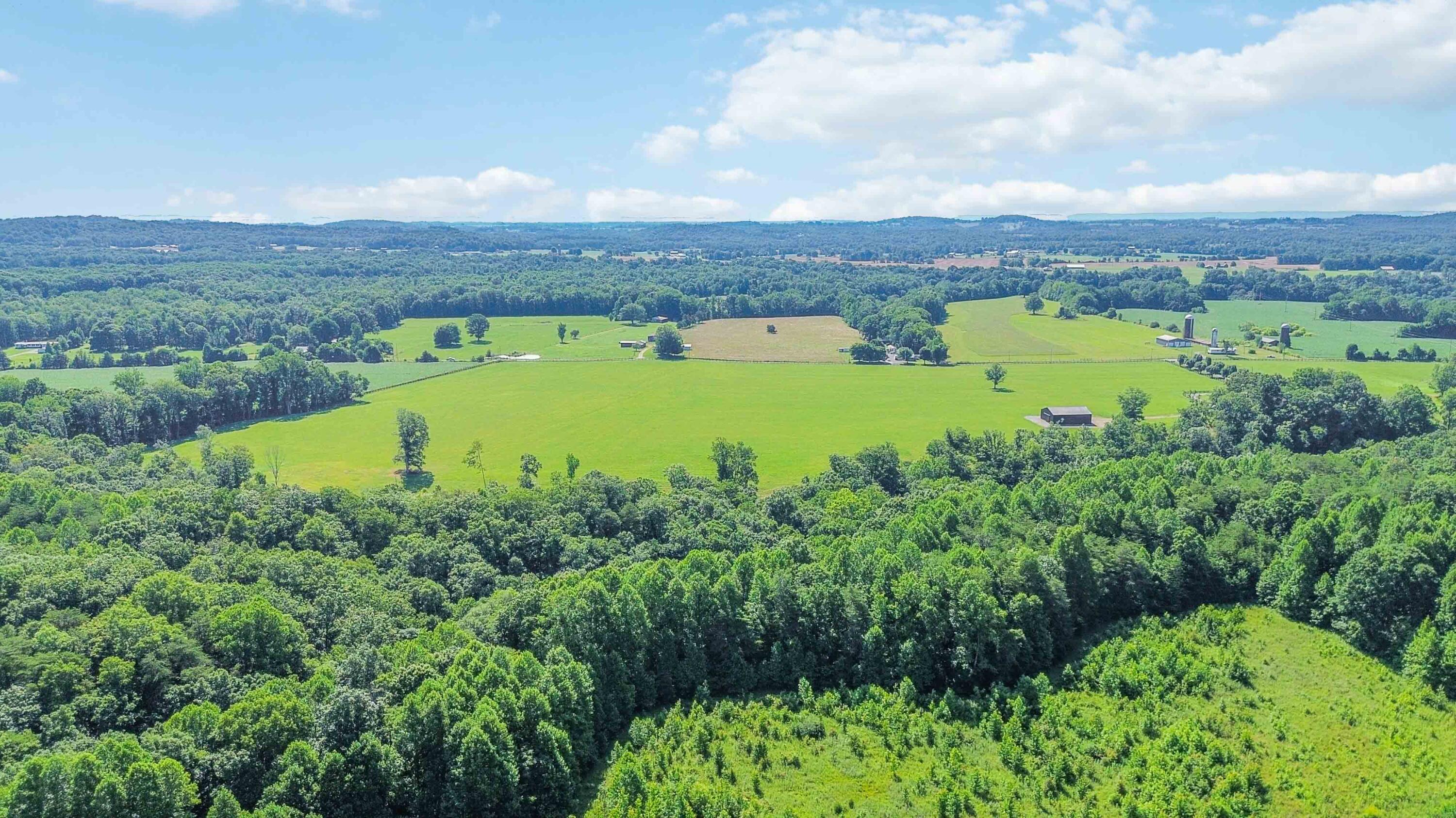 12e Acres Flatwoods Road Property Photo 10