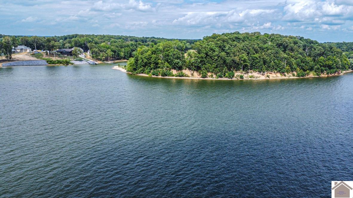 928 Eagle Point Drive Lot #16 Property Photo 12