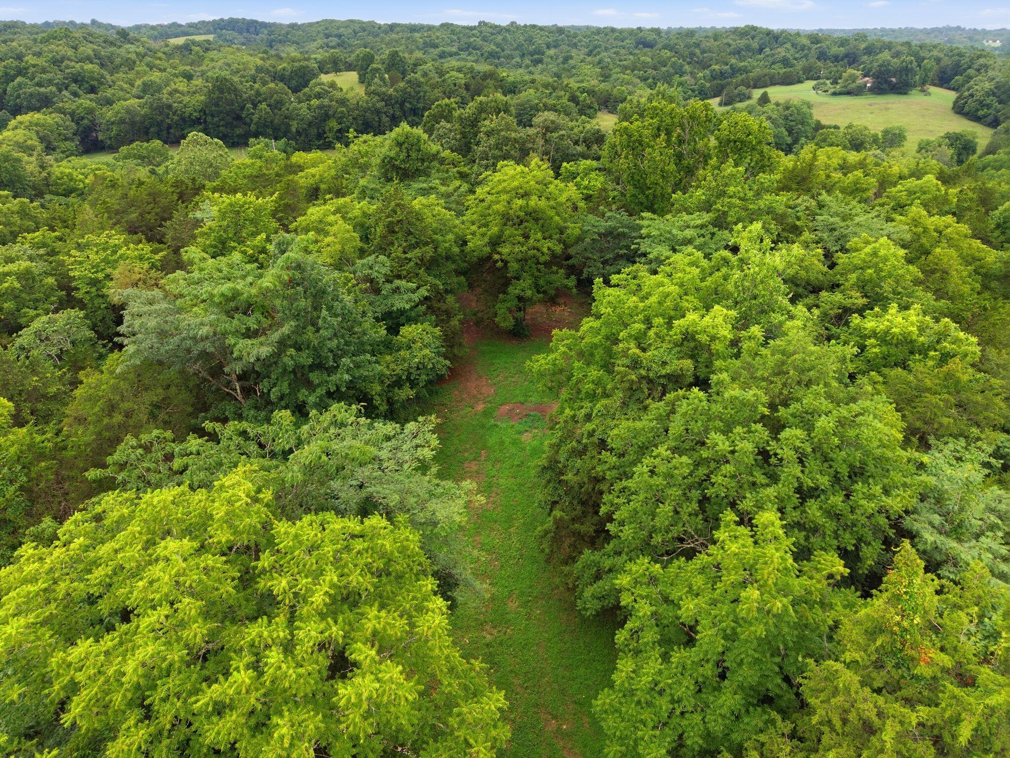 2675 Burton Pike Property Photo 6