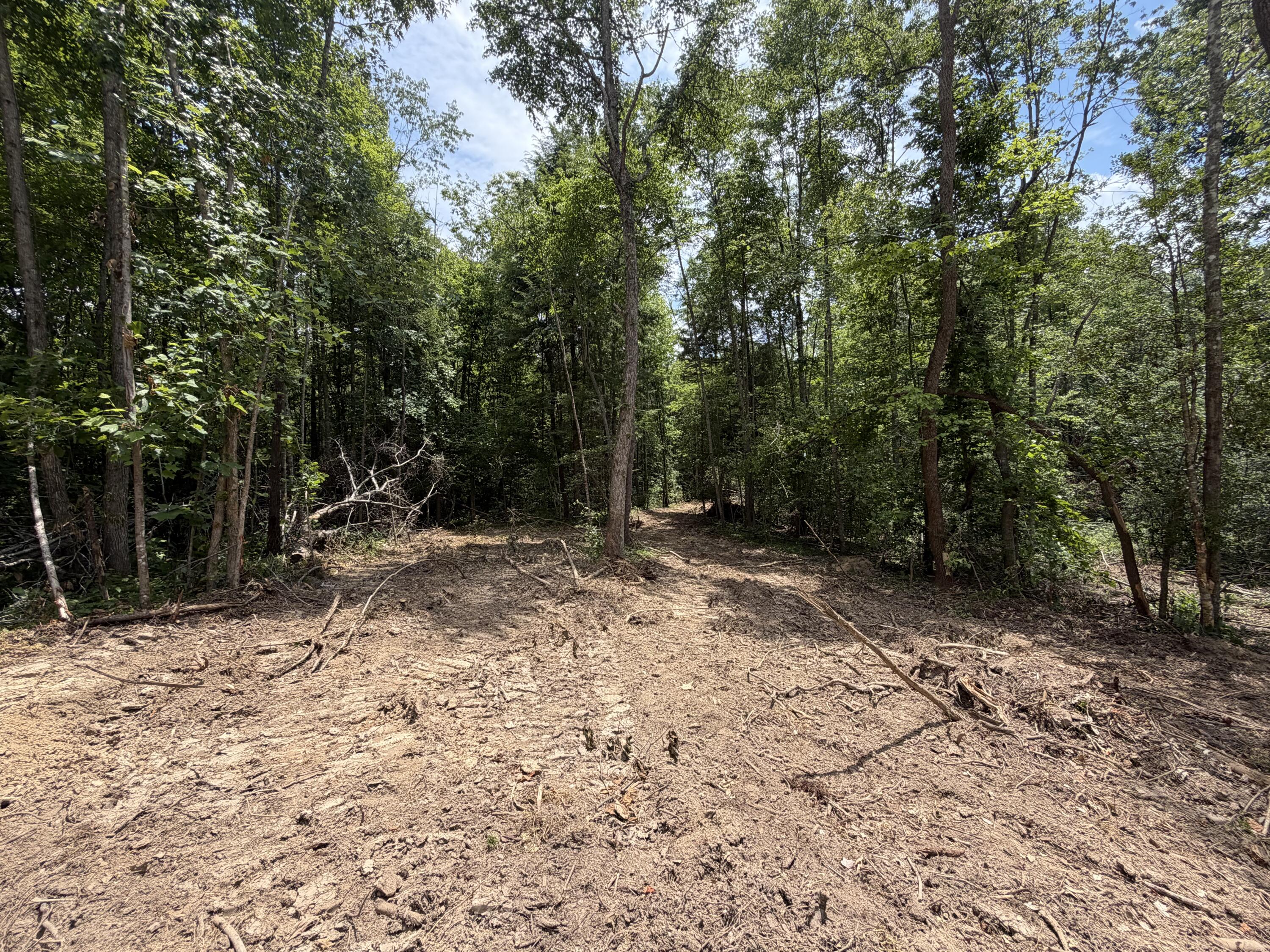 1111 Gibson Lane Property Photo 1