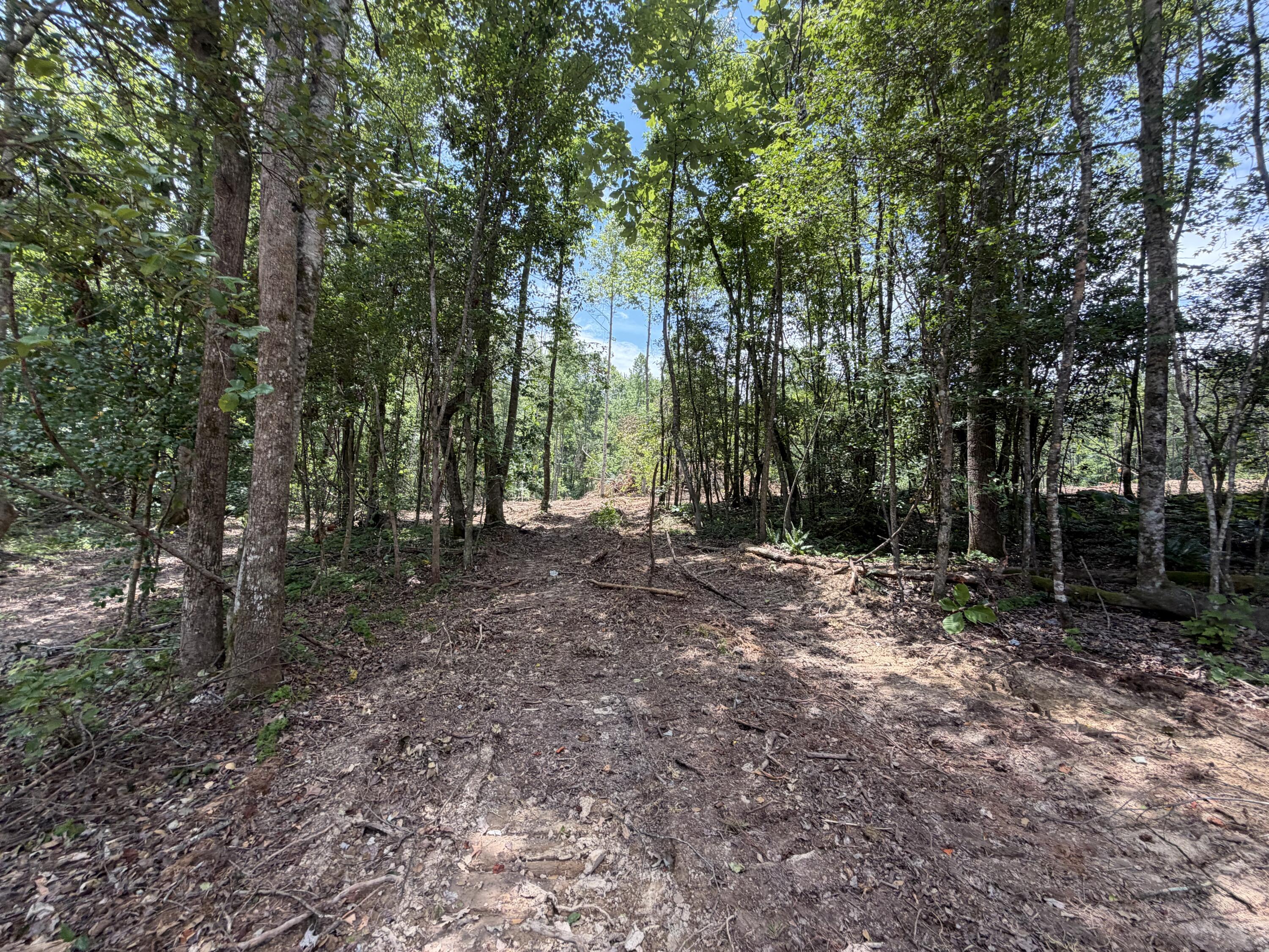 101010 Gibson Lane Property Photo 6