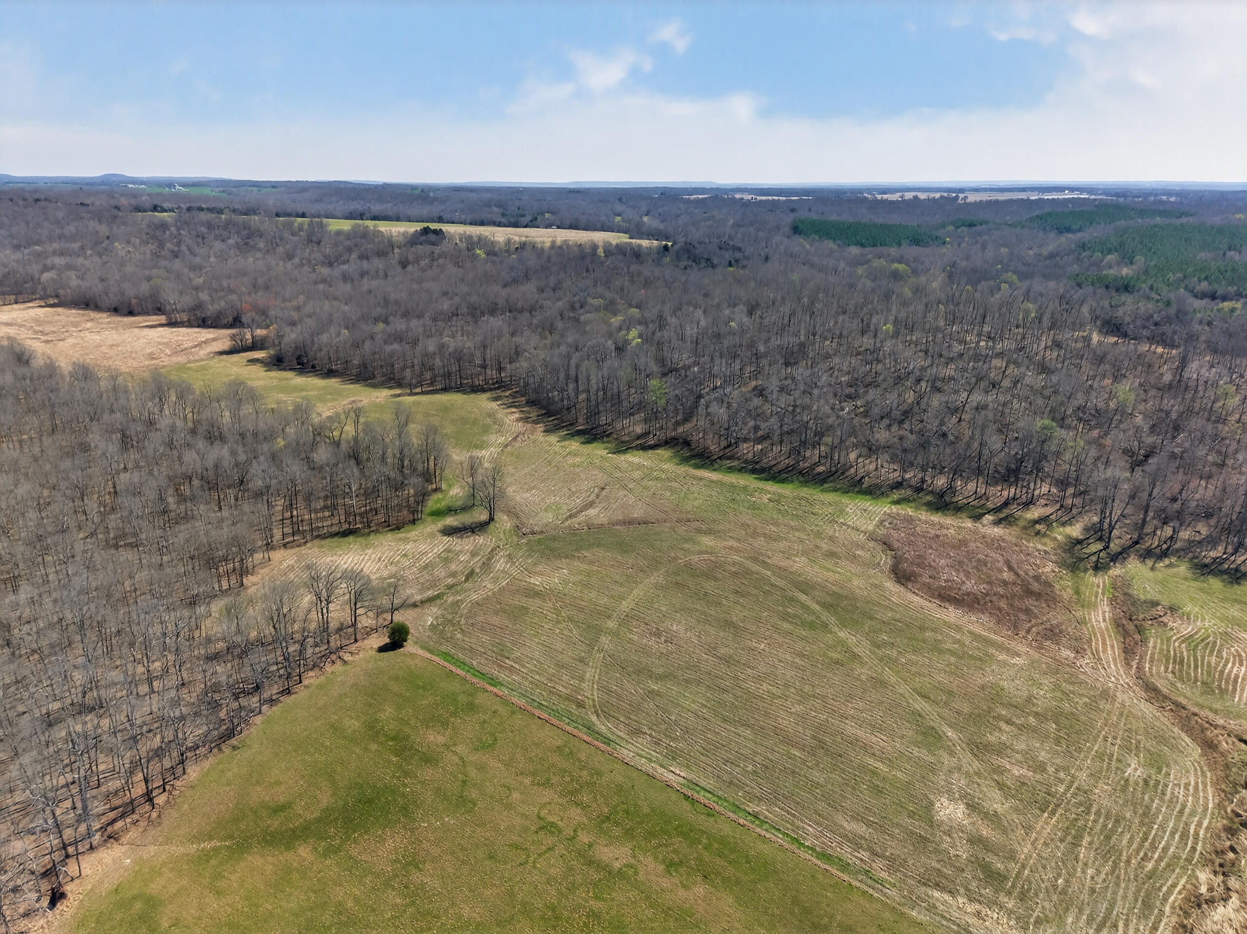 2526 Axel Creek Road Property Photo 2