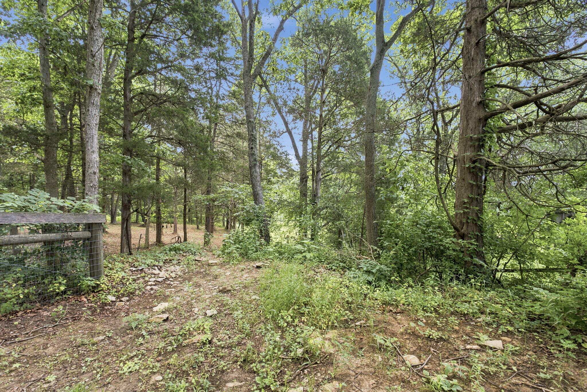 3245 State Hwy 1284 Property Photo 33