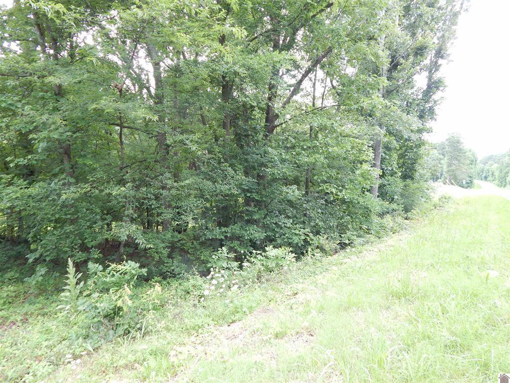 11250 E 68 Highway Property Photo 4