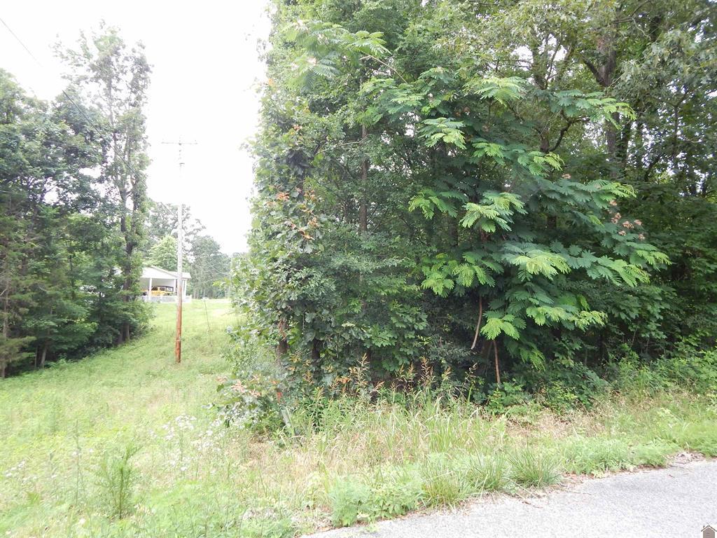 11250 E 68 Highway Property Photo 6
