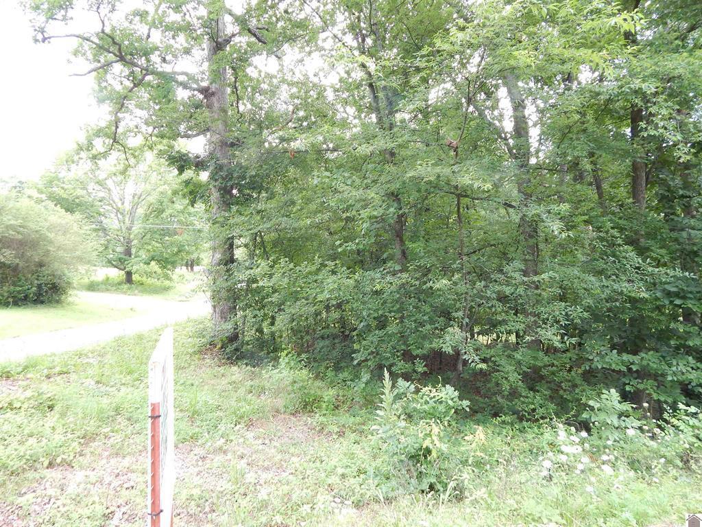 11250 E 68 Highway Property Photo 7