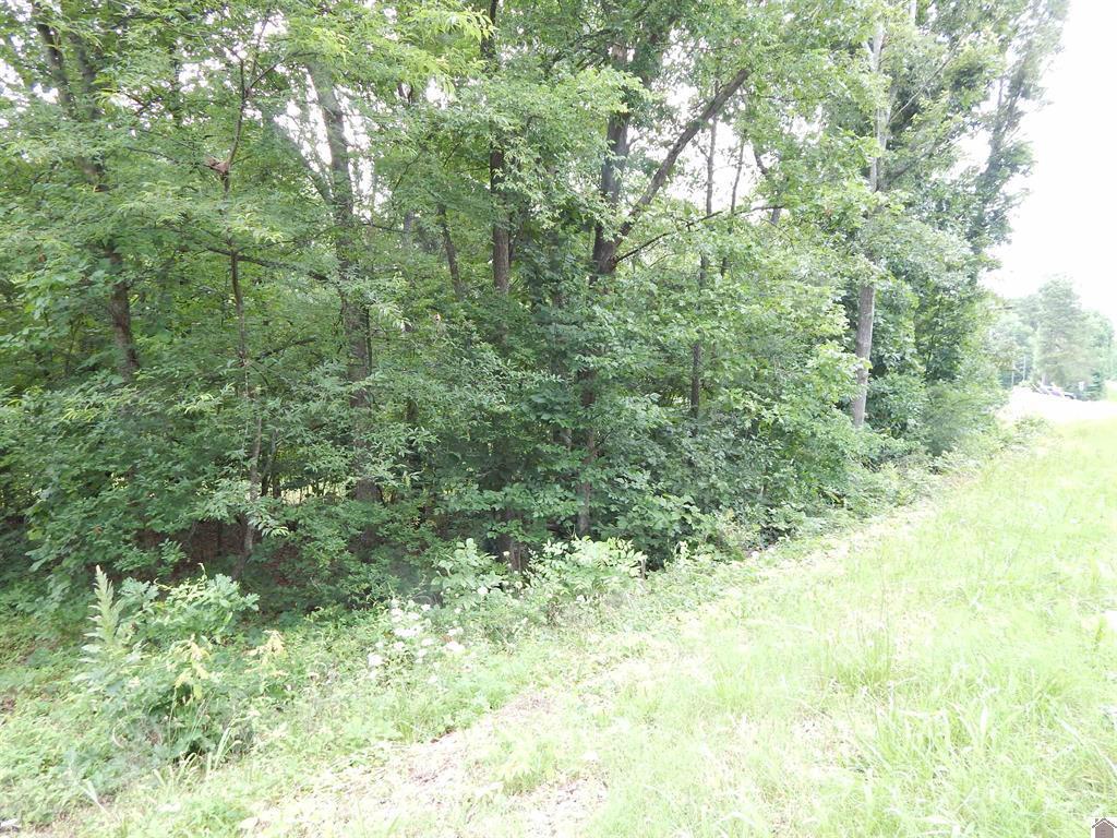 11250 E 68 Highway Property Photo 8