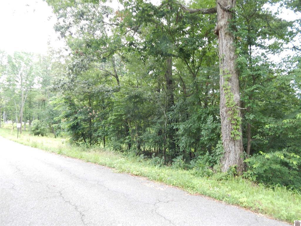 11250 E 68 Highway Property Photo 10