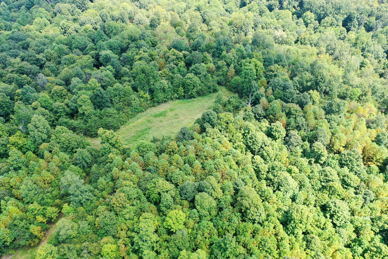 1013 Donahue Property Photo 2