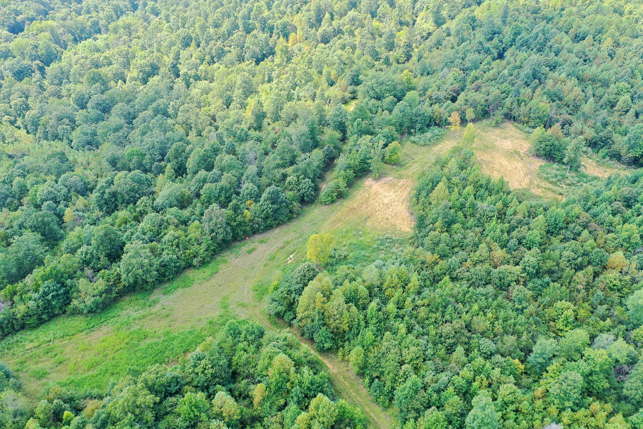 1013 Donahue Property Photo 5