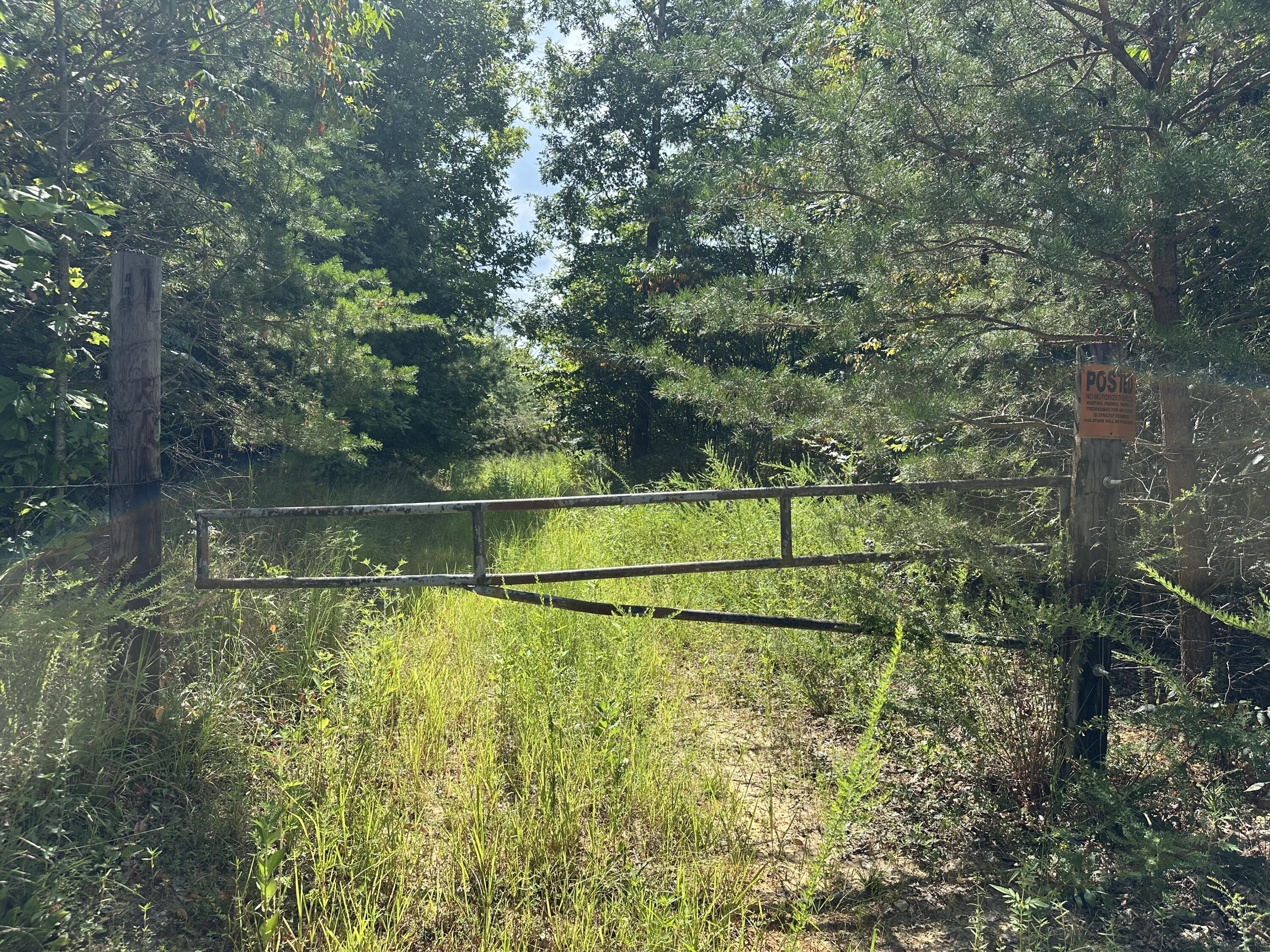 1013 Donahue Property Photo 7