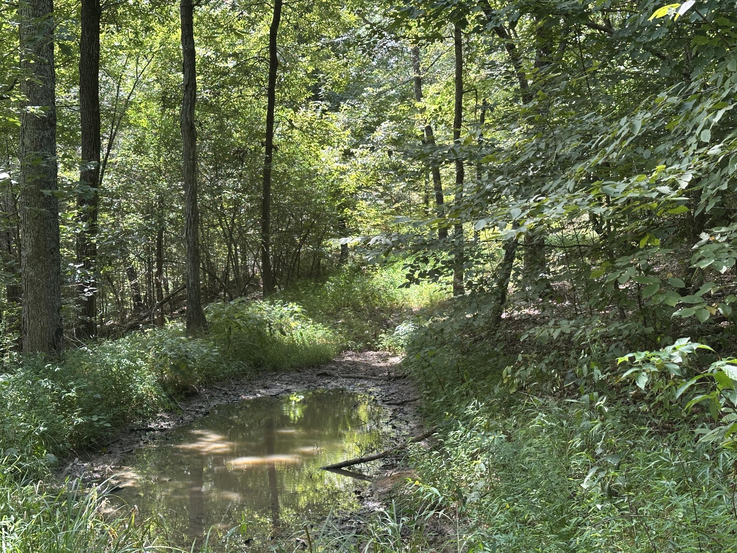 1013 Donahue Property Photo 10
