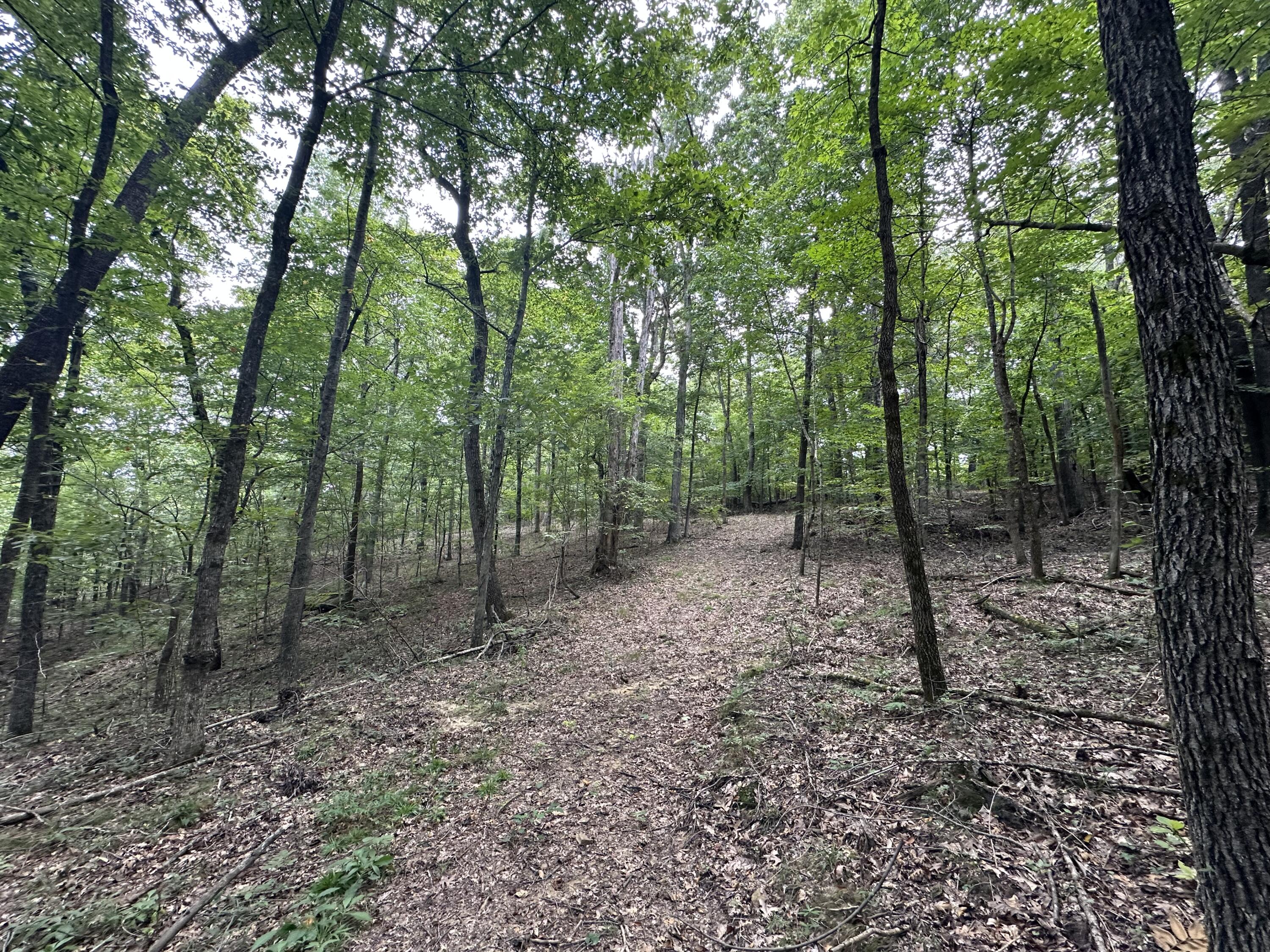 1013 Donahue Property Photo 14