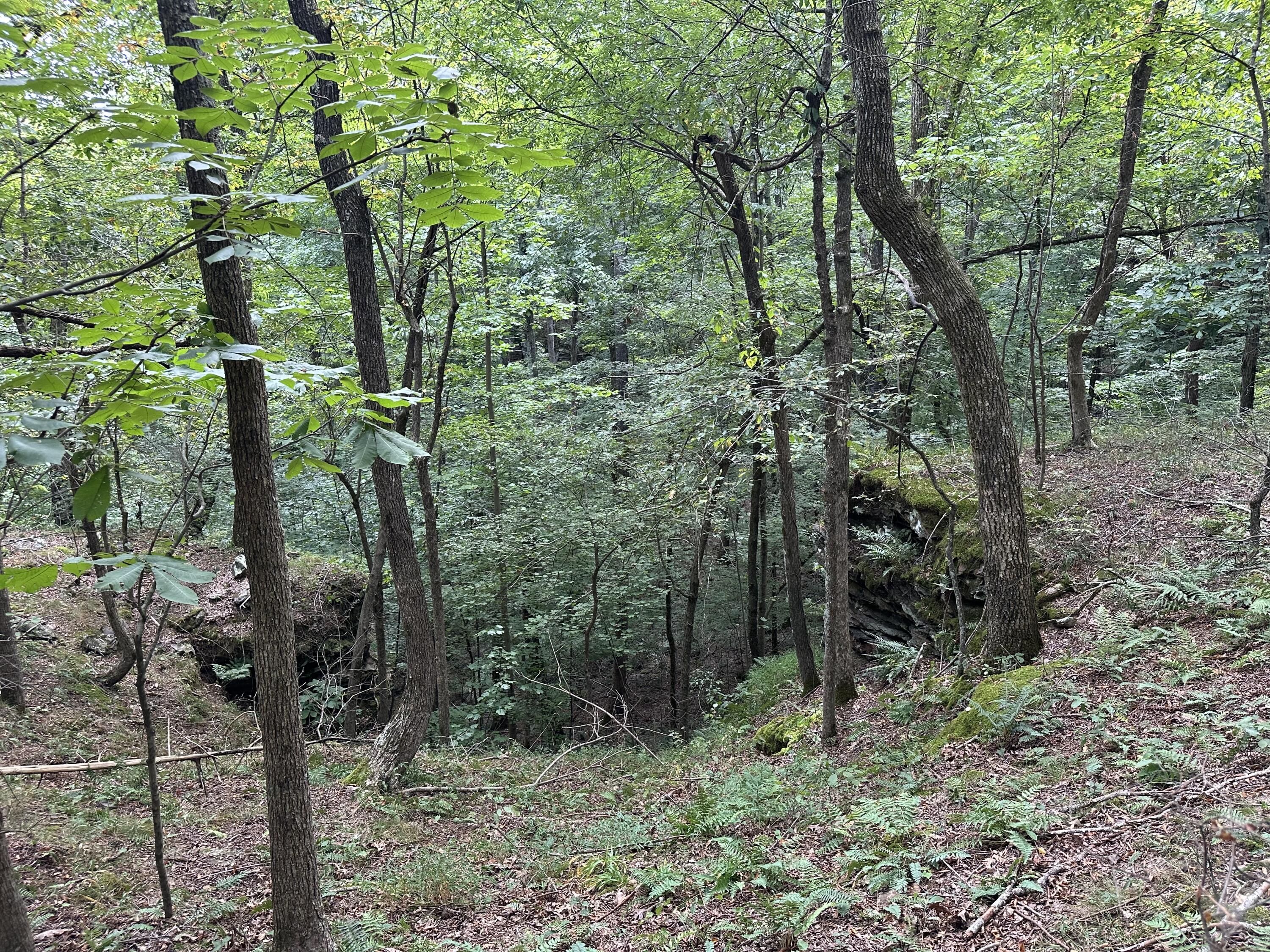1013 Donahue Property Photo 15