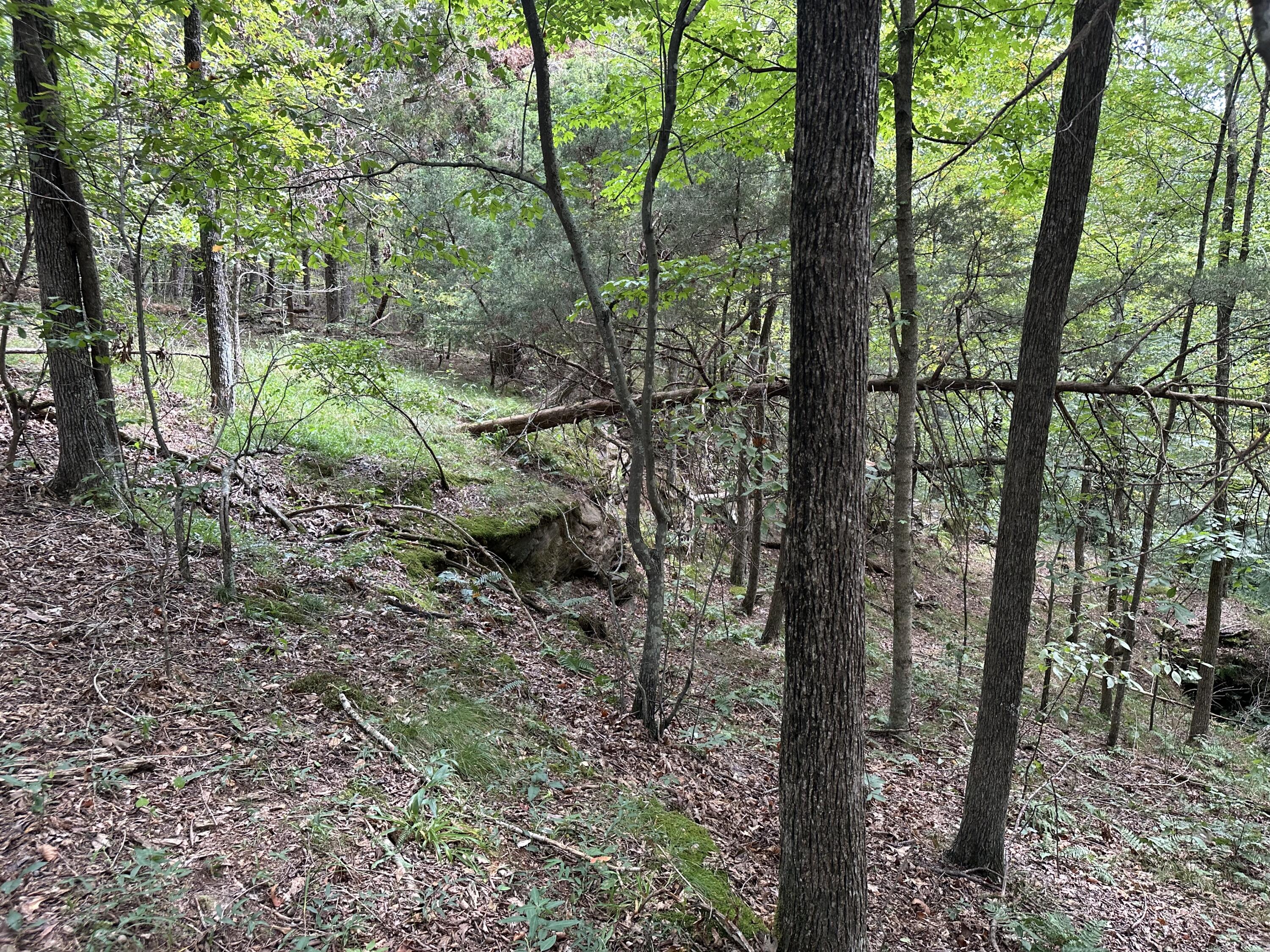 1013 Donahue Property Photo 16