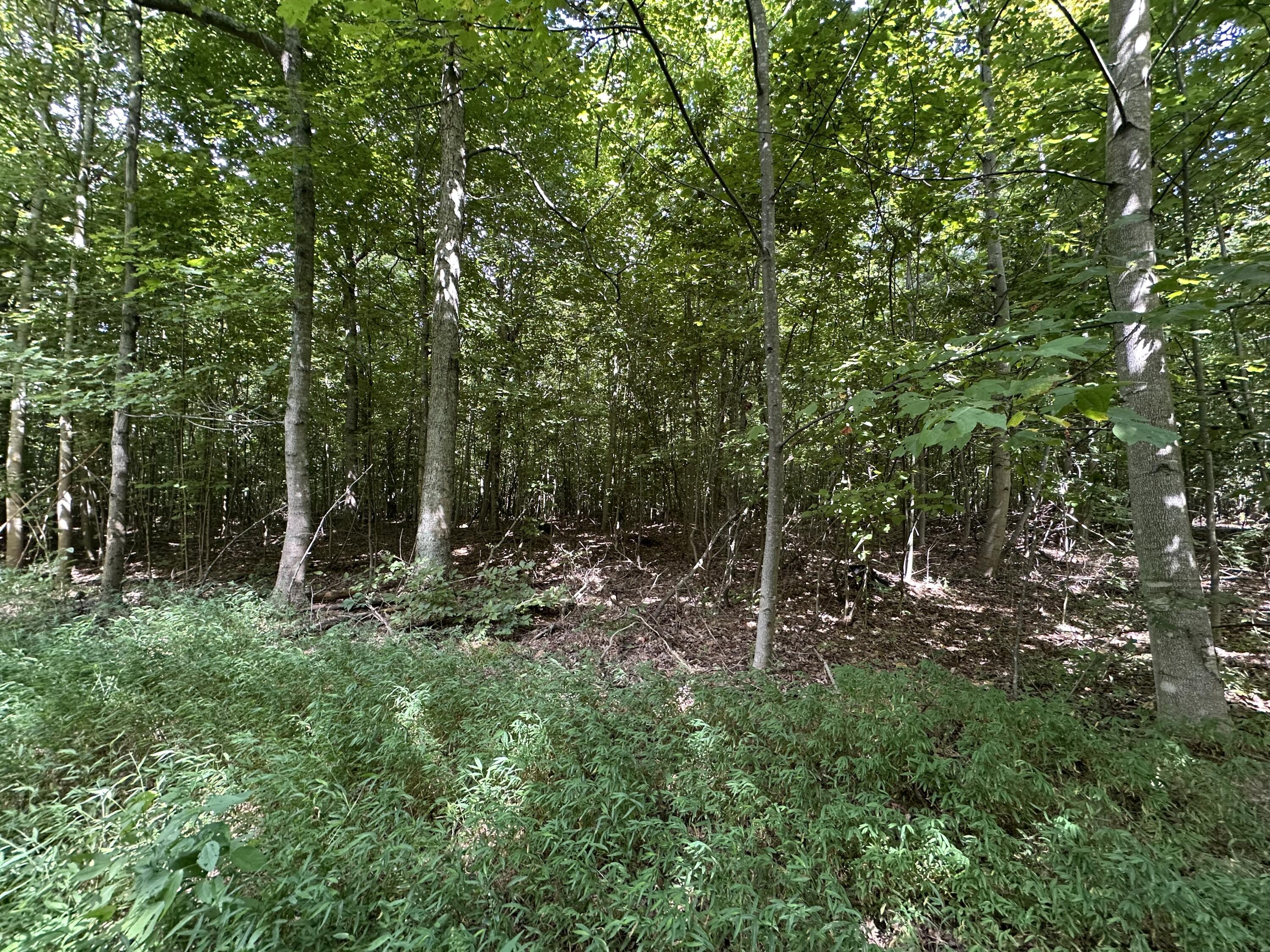 1013 Donahue Property Photo 21