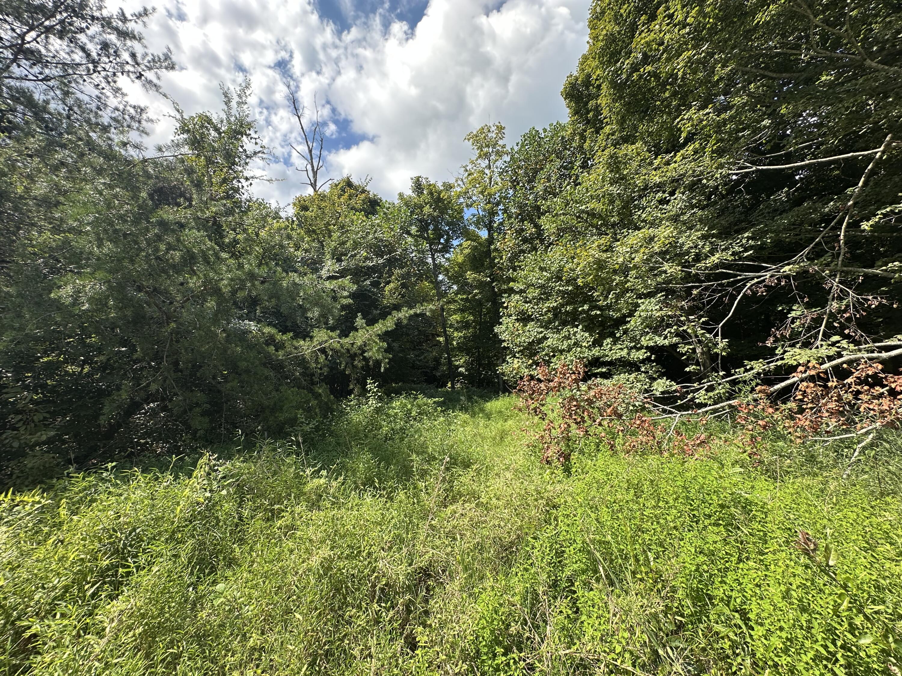 1013 Donahue Property Photo 22