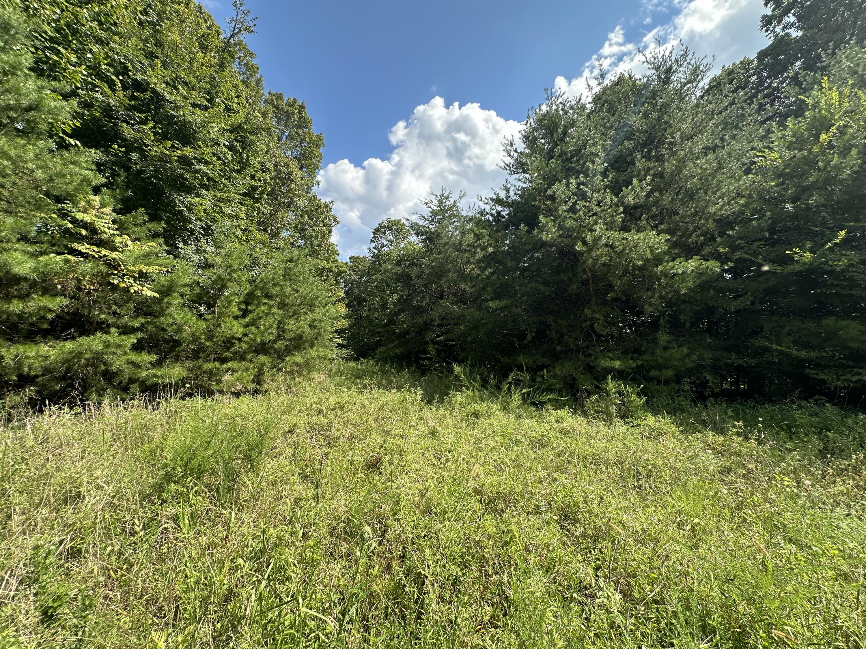 1013 Donahue Property Photo 23