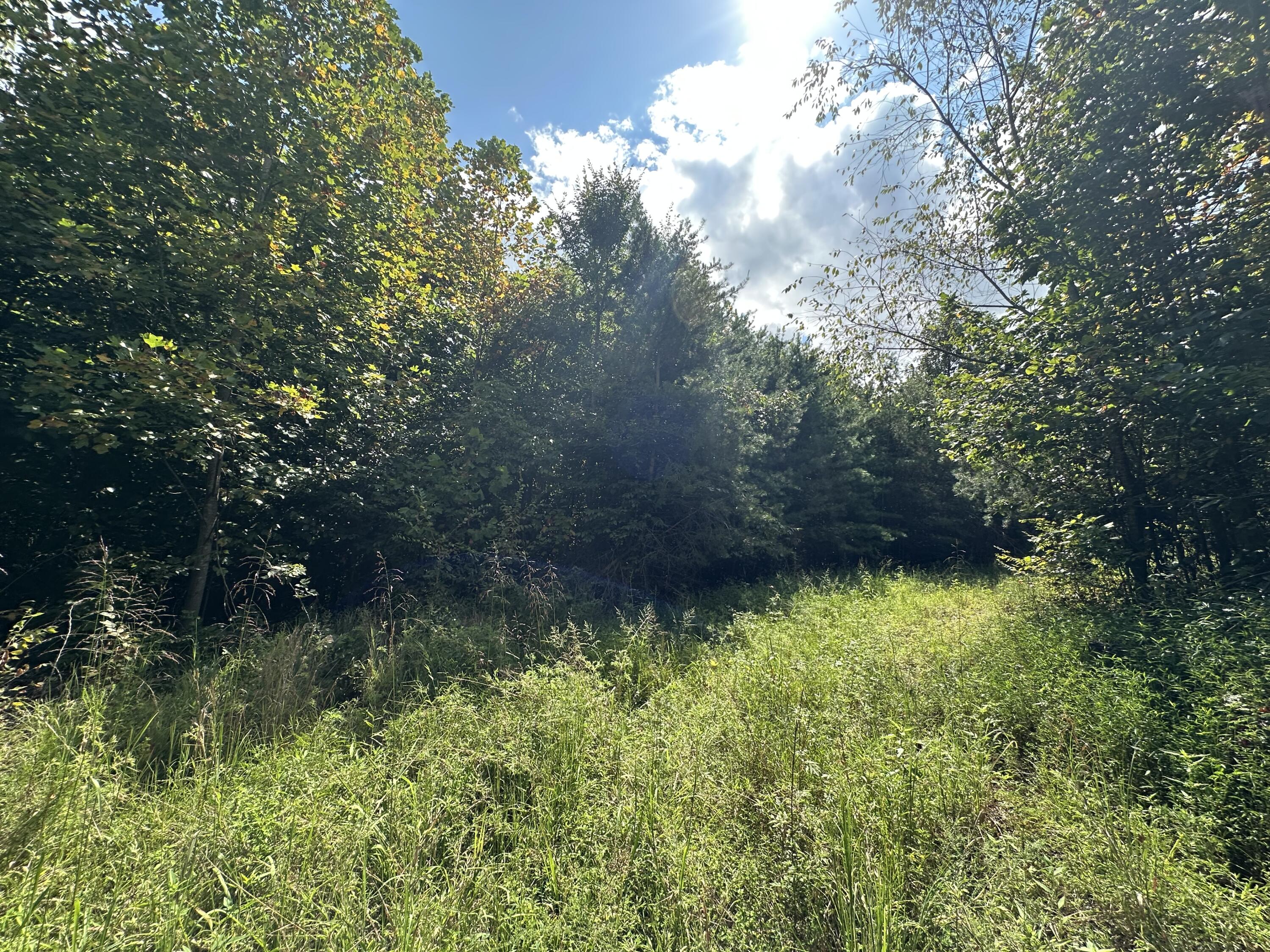 1013 Donahue Property Photo 25