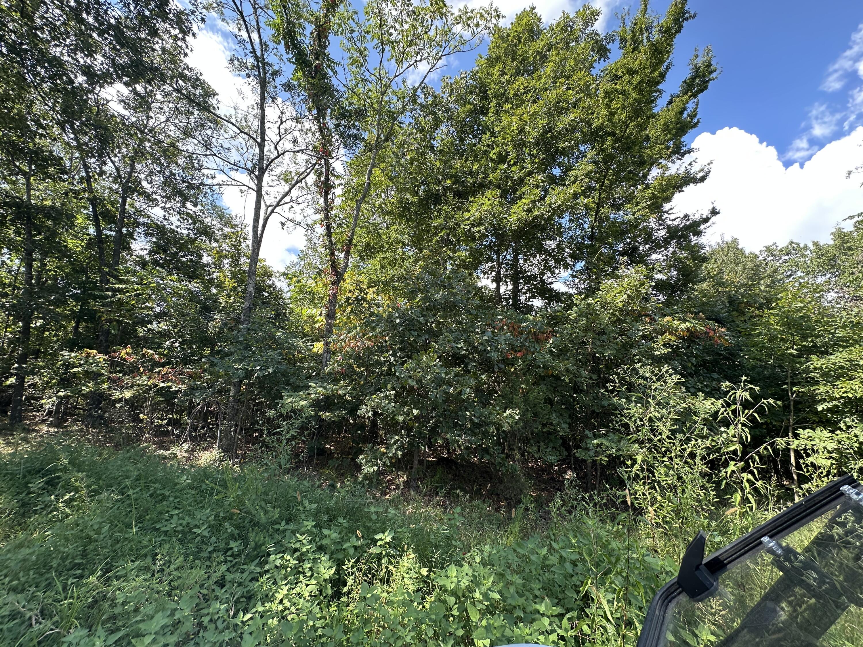 1013 Donahue Property Photo 26