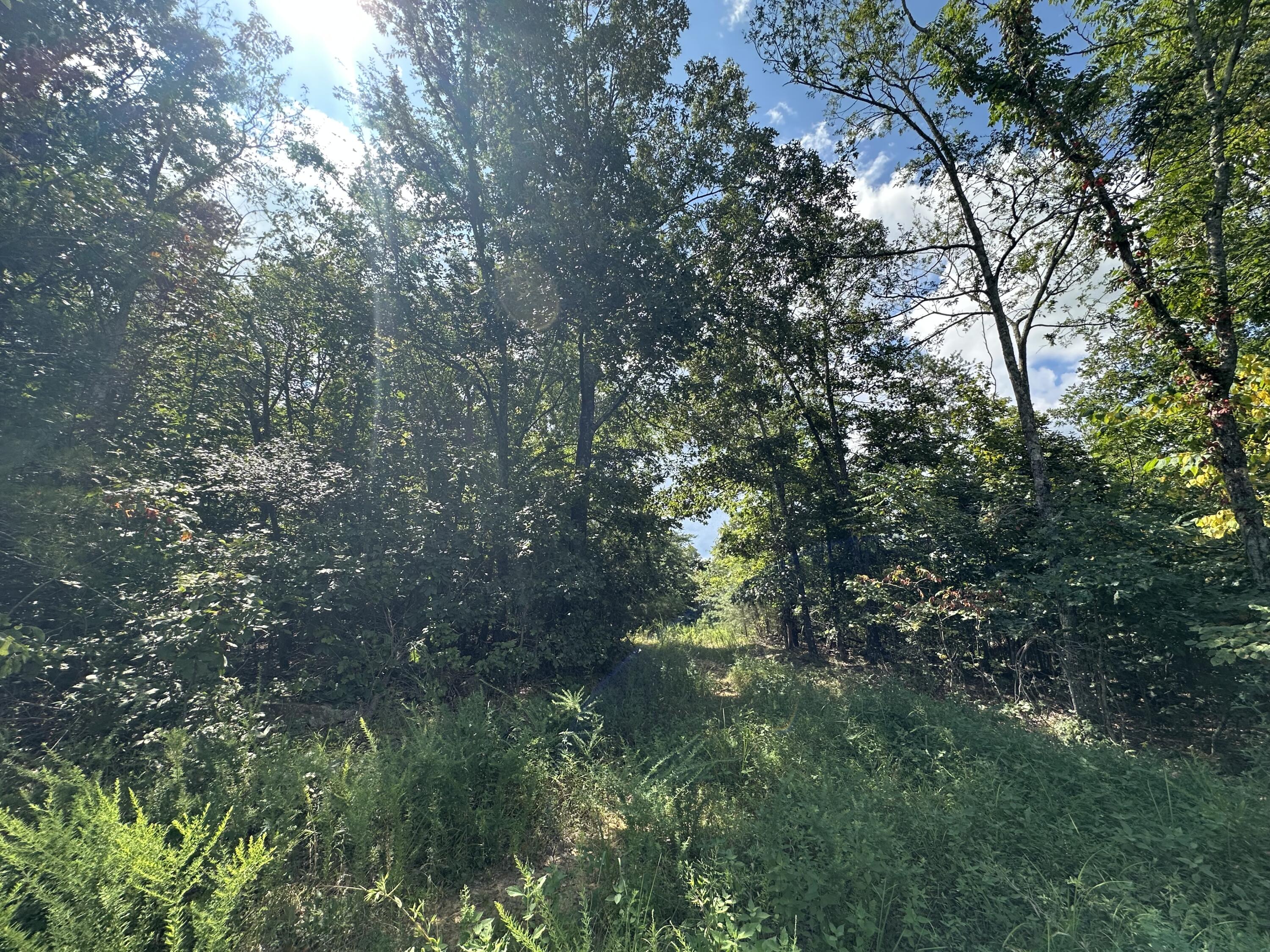 1013 Donahue Property Photo 27