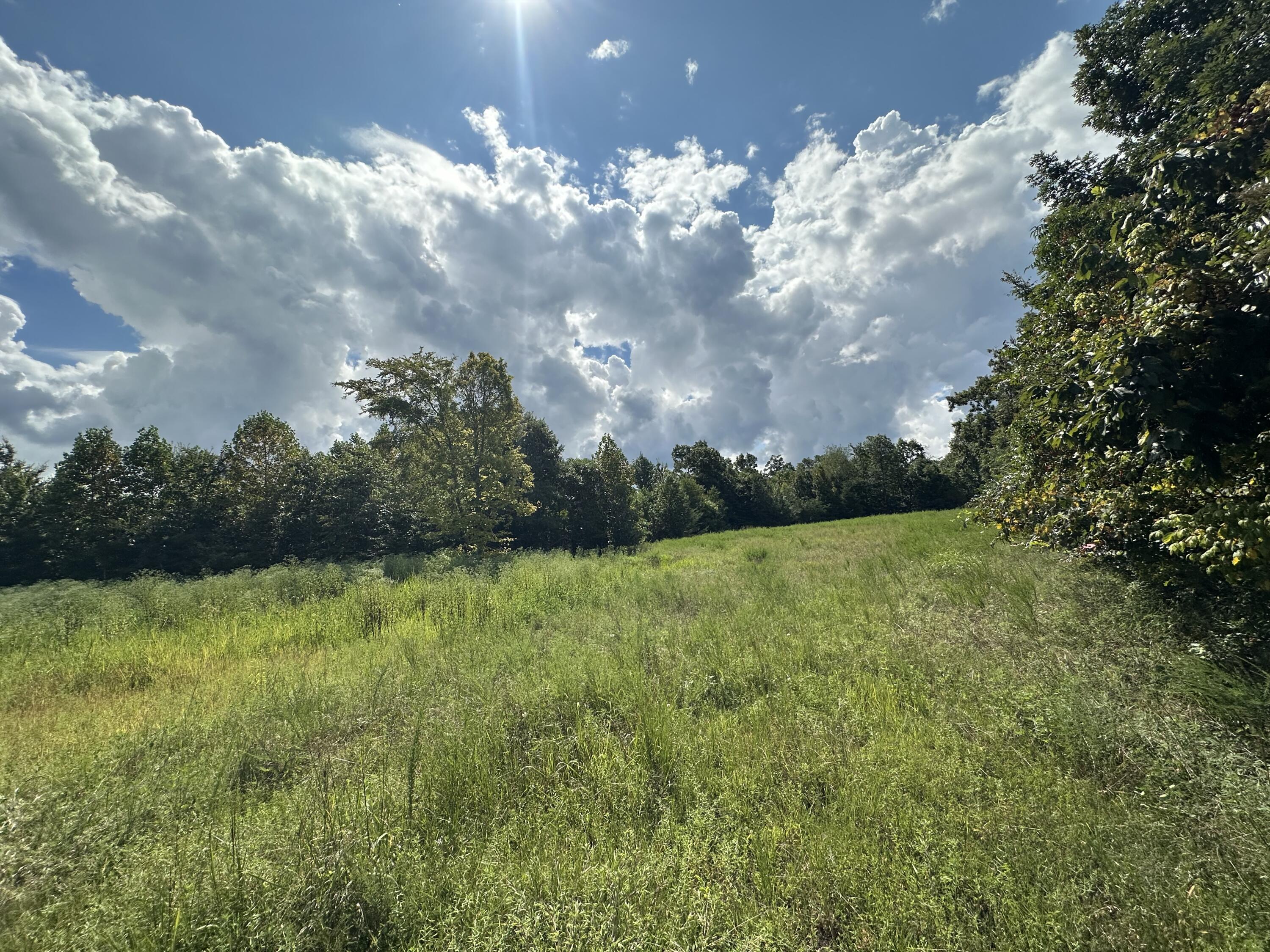 1013 Donahue Property Photo 28