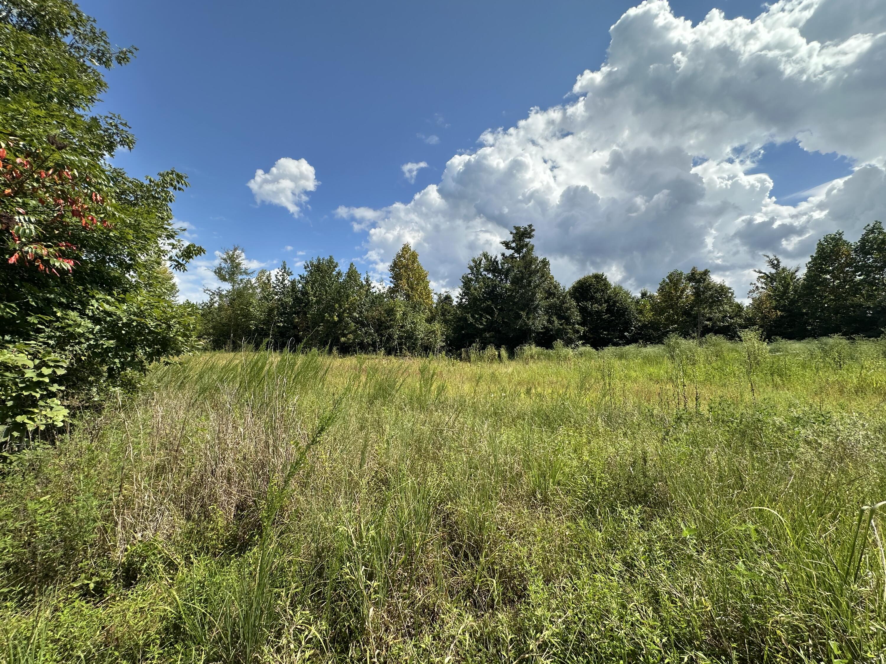 1013 Donahue Property Photo 29