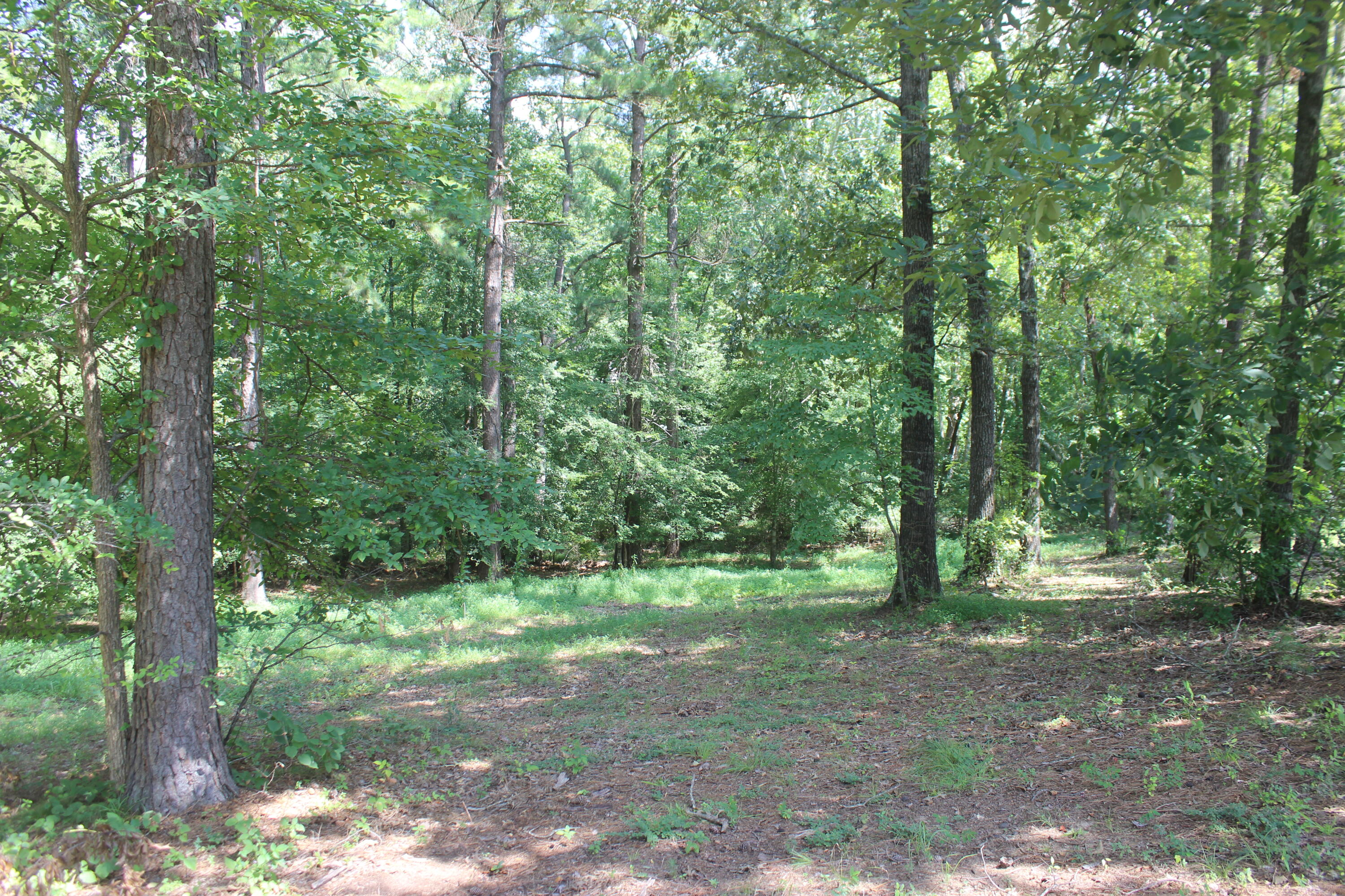 15 Harborview Lane Property Photo 1