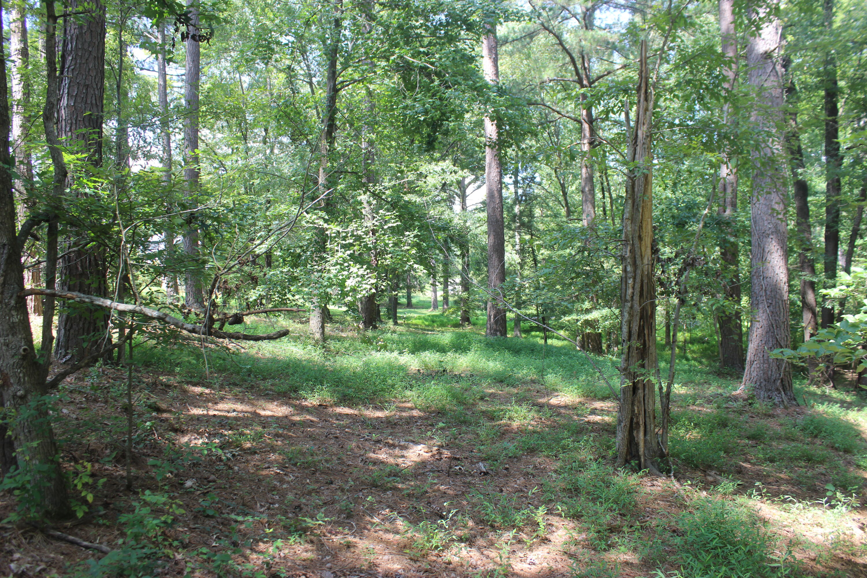 15 Harborview Lane Property Photo 18