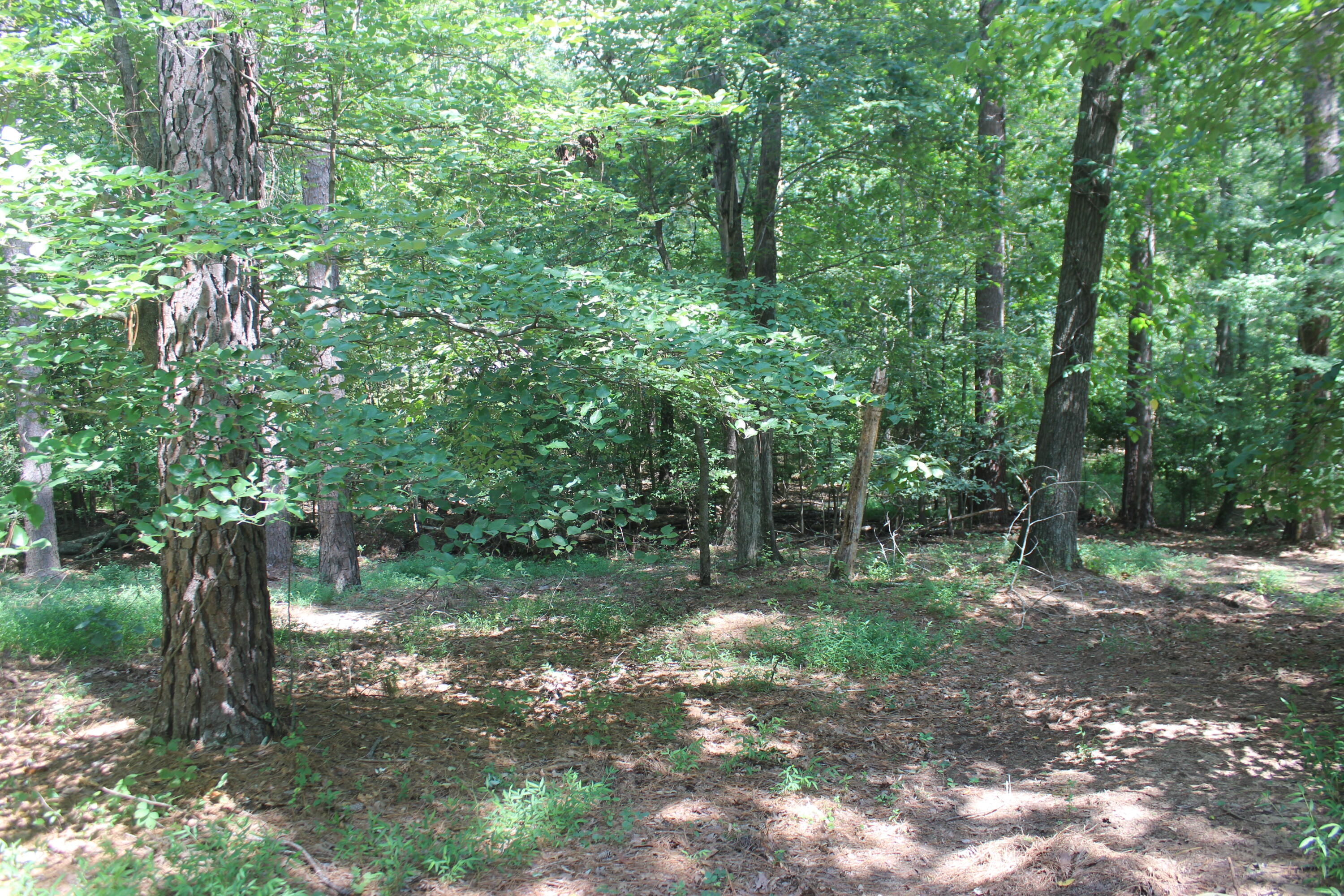 15 Harborview Lane Property Photo 19