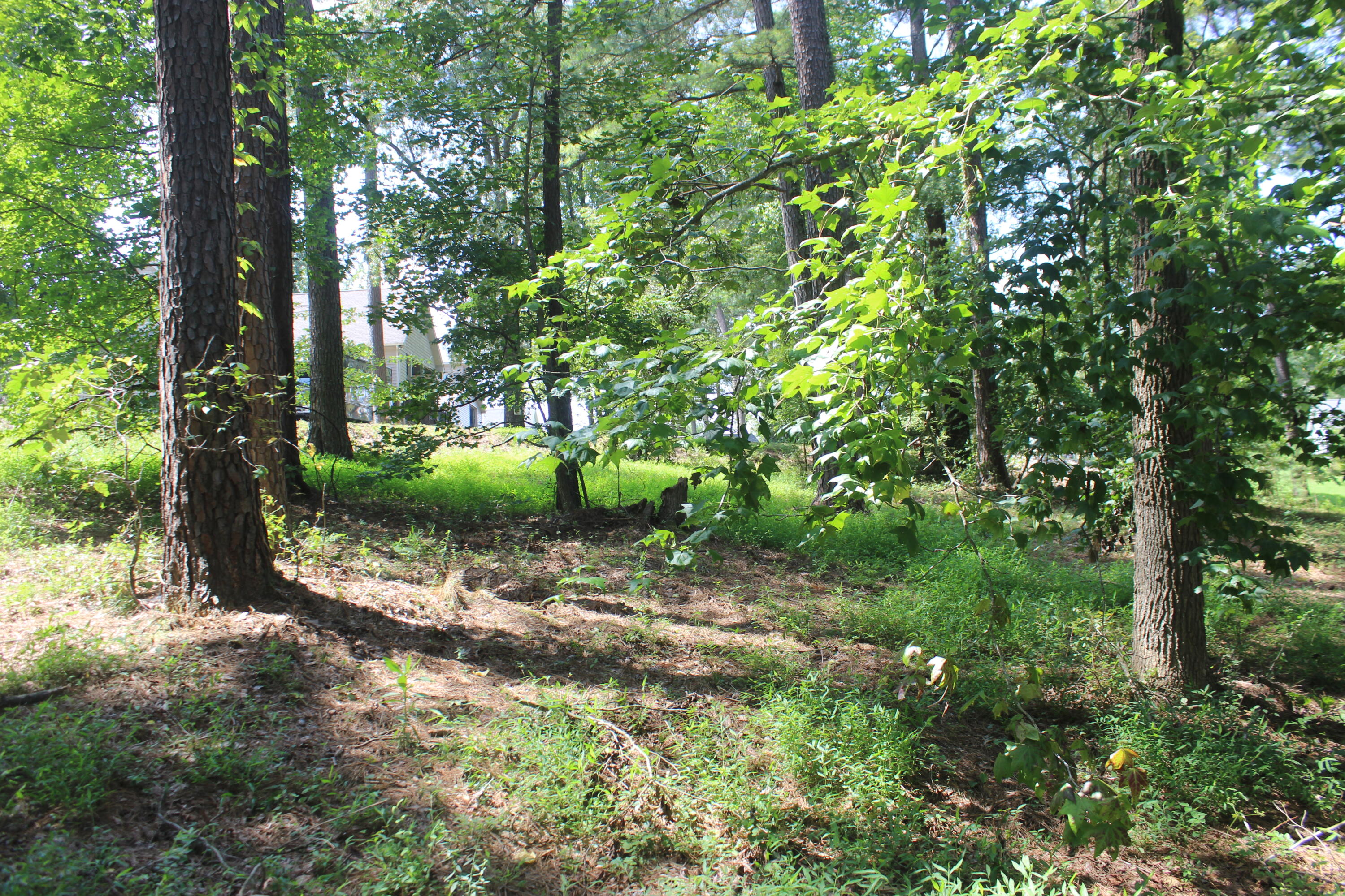 15 Harborview Lane Property Photo 21
