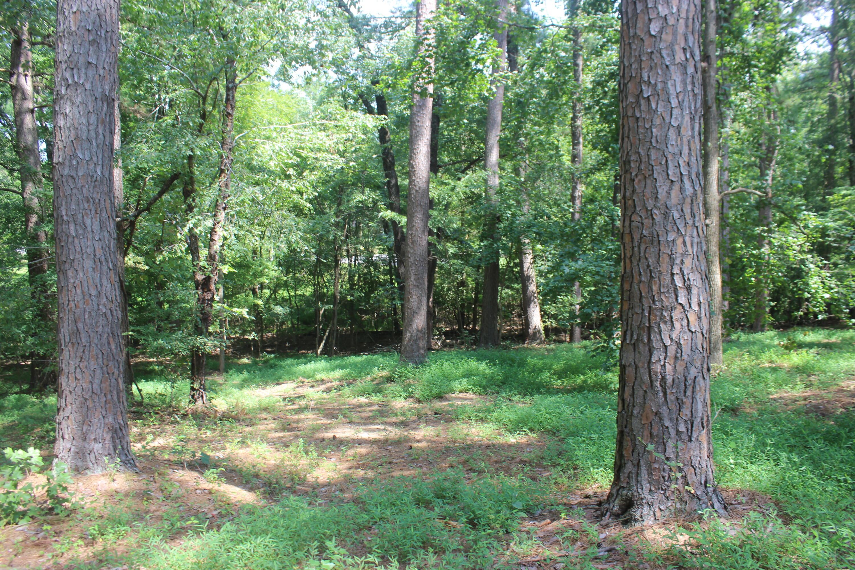 15 Harborview Lane Property Photo 22