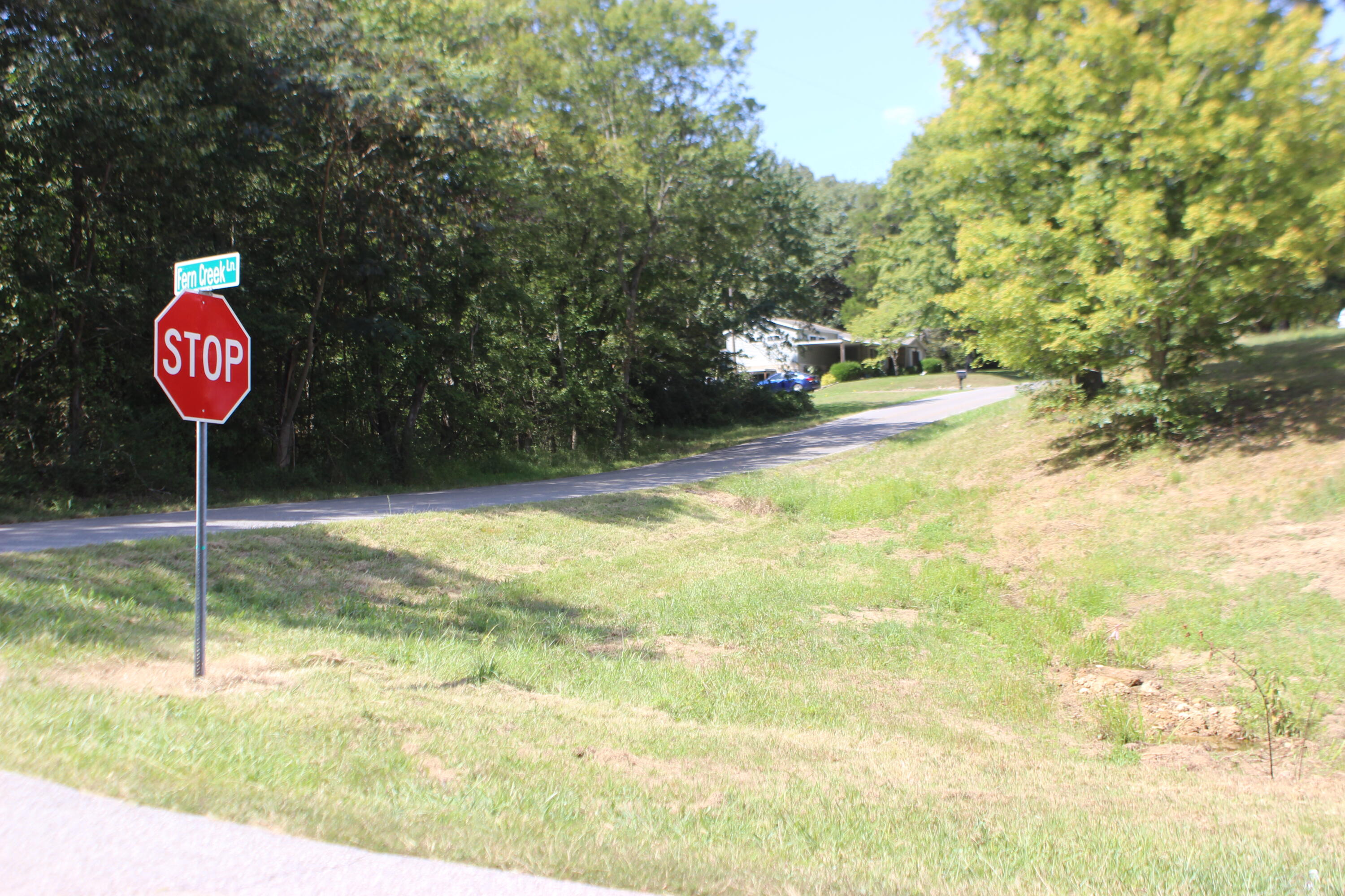 Lot 1 Fern Creek Lane Property Photo 5