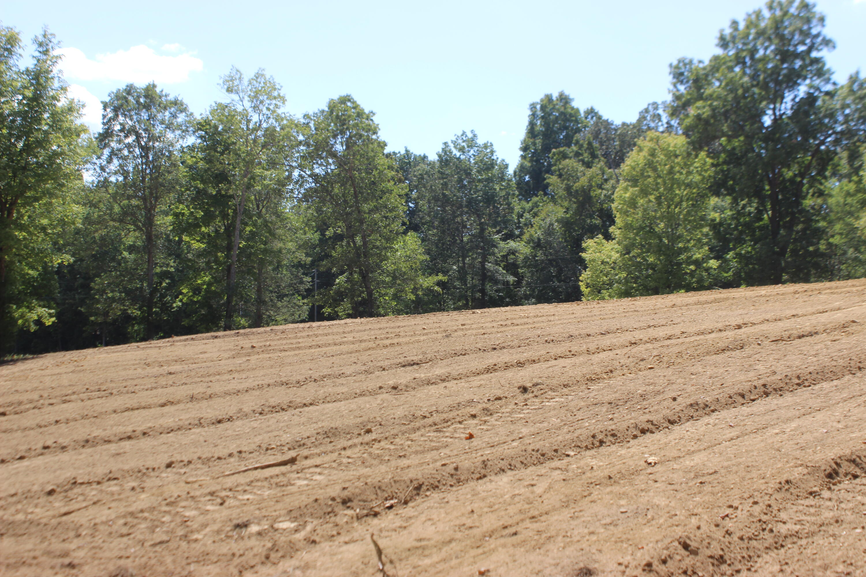 Lot 1 Fern Creek Lane Property Photo 13