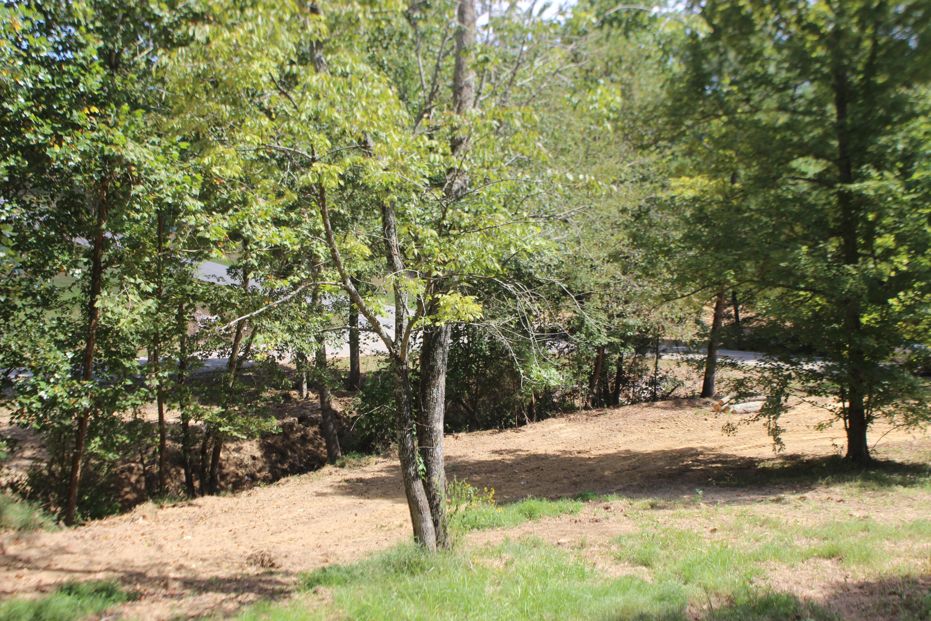 Lot 1 Fern Creek Lane Property Photo 14