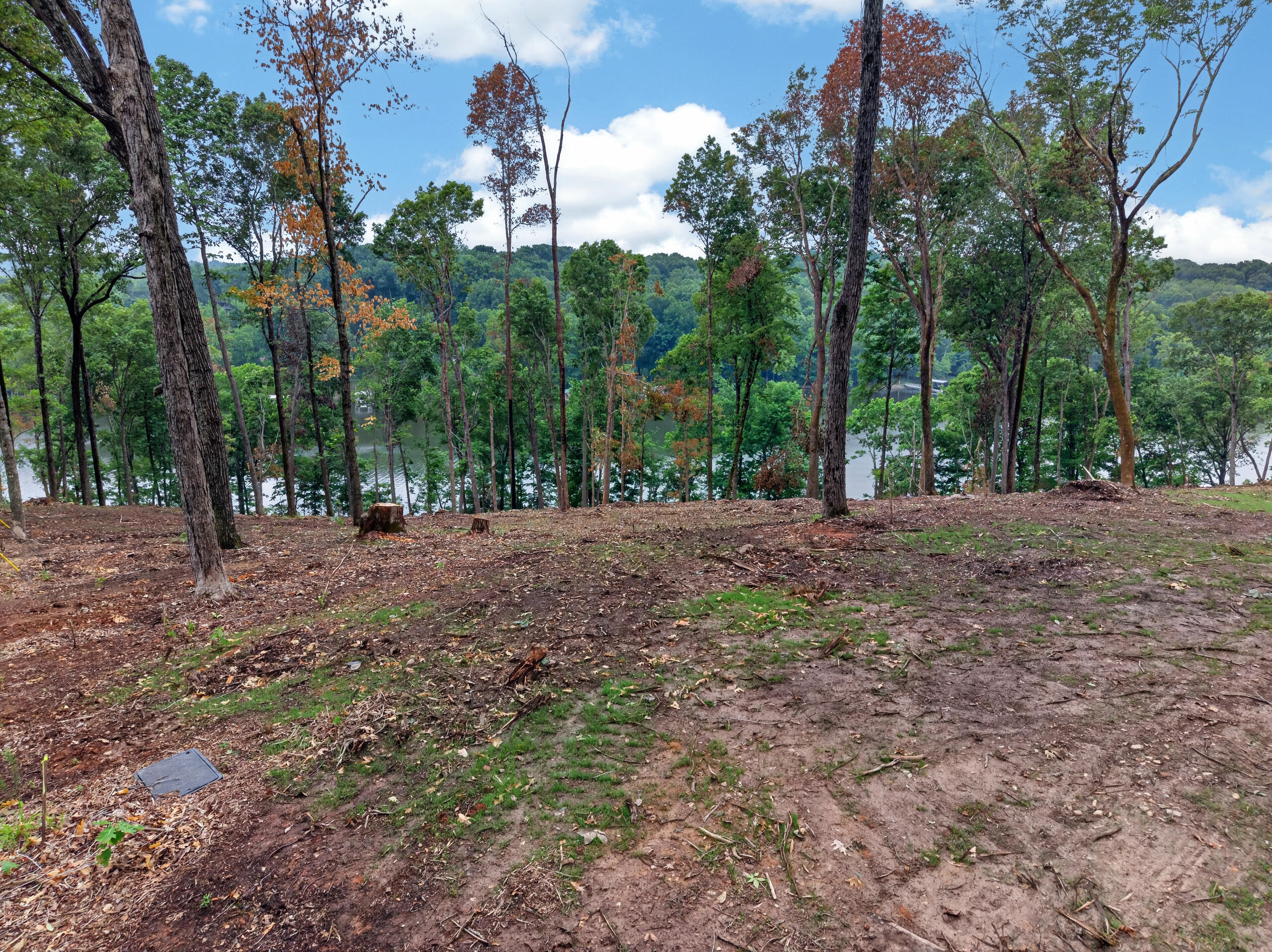 Lot 10 Elwood Rd Property Photo 7