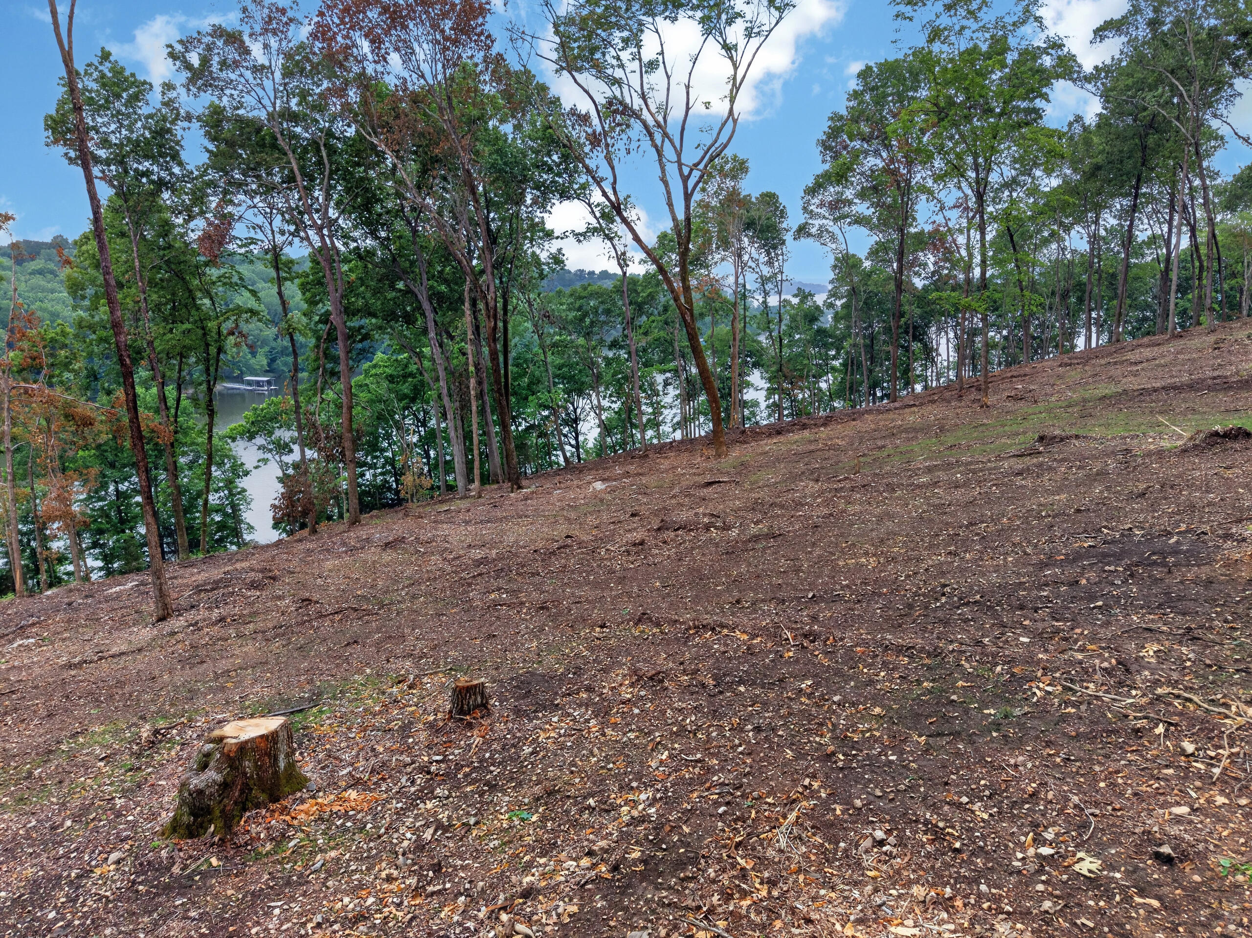 Lot 10 Elwood Rd Property Photo 8