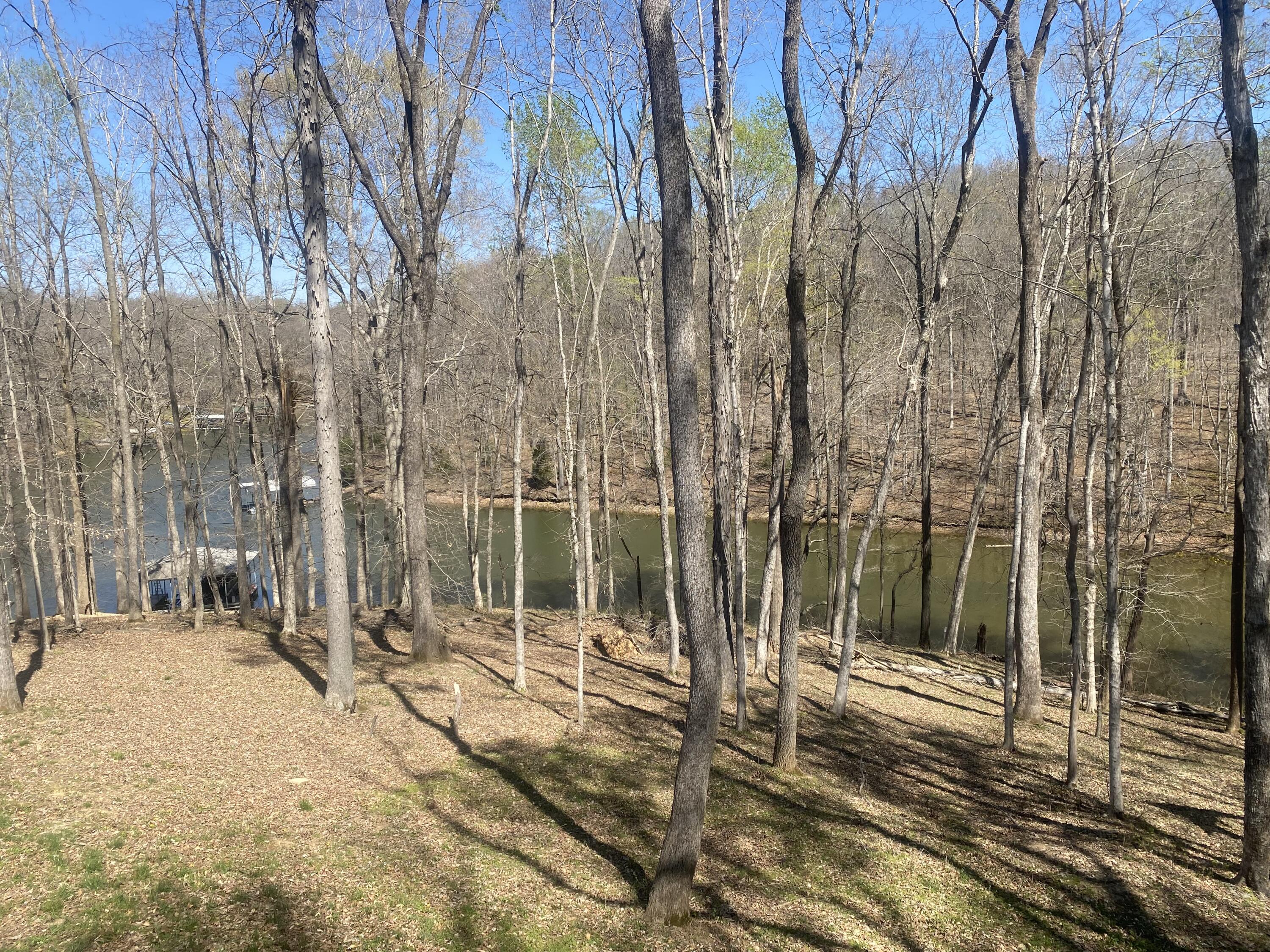 180 Crystal Creek Circle Property Photo 10