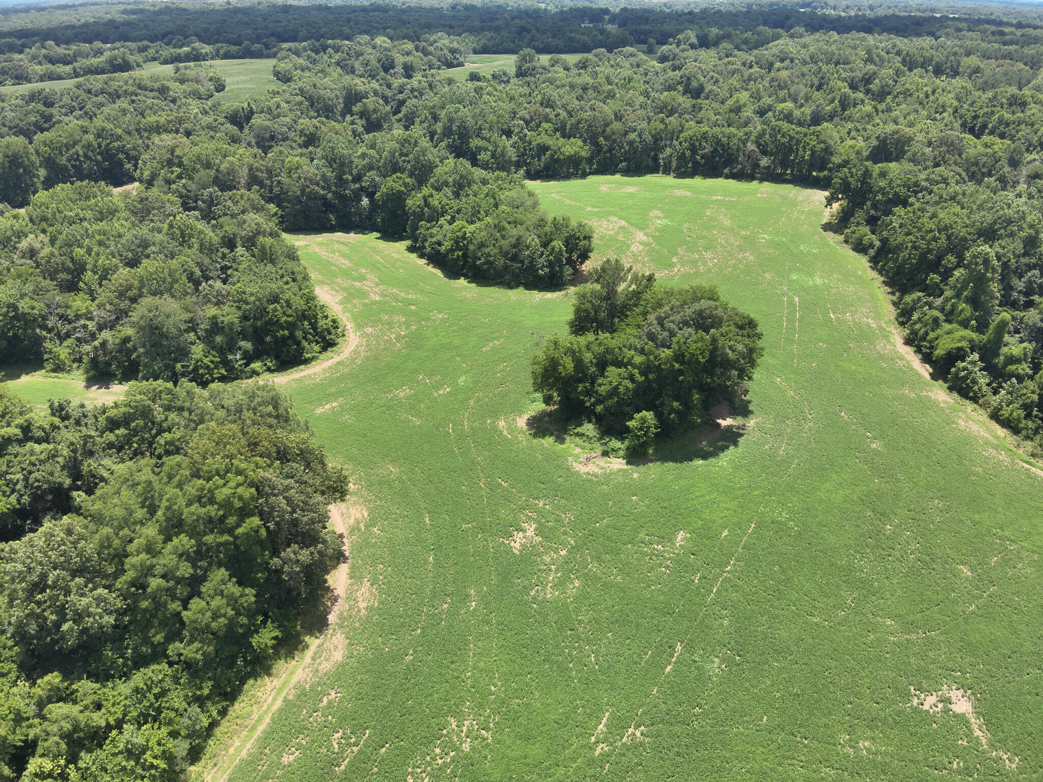 00 Hwy 1591 Property Photo 3