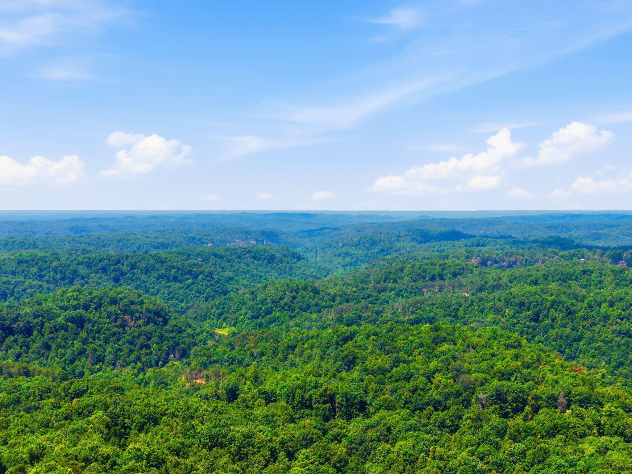 28 Joyful Springs Property Photo 6
